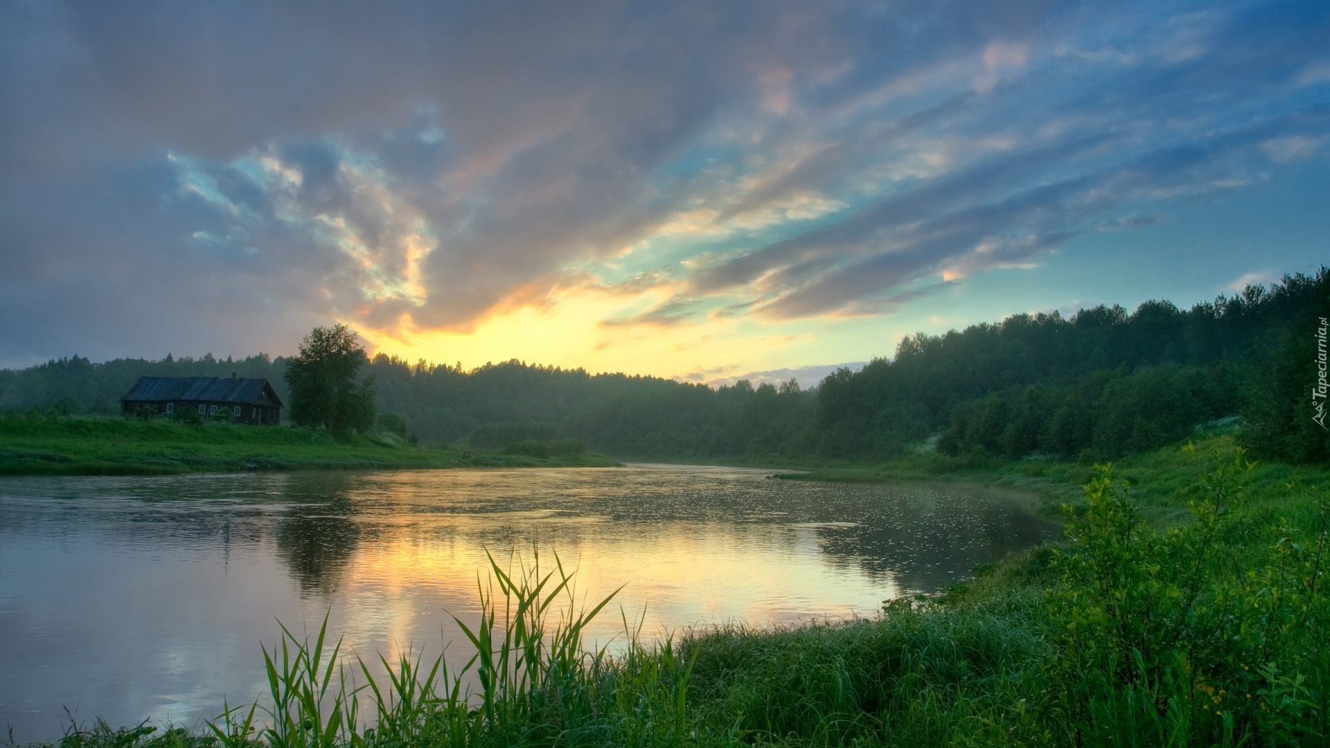 Zachód, Słońce, Chmury, Jezioro, Las, Trawa