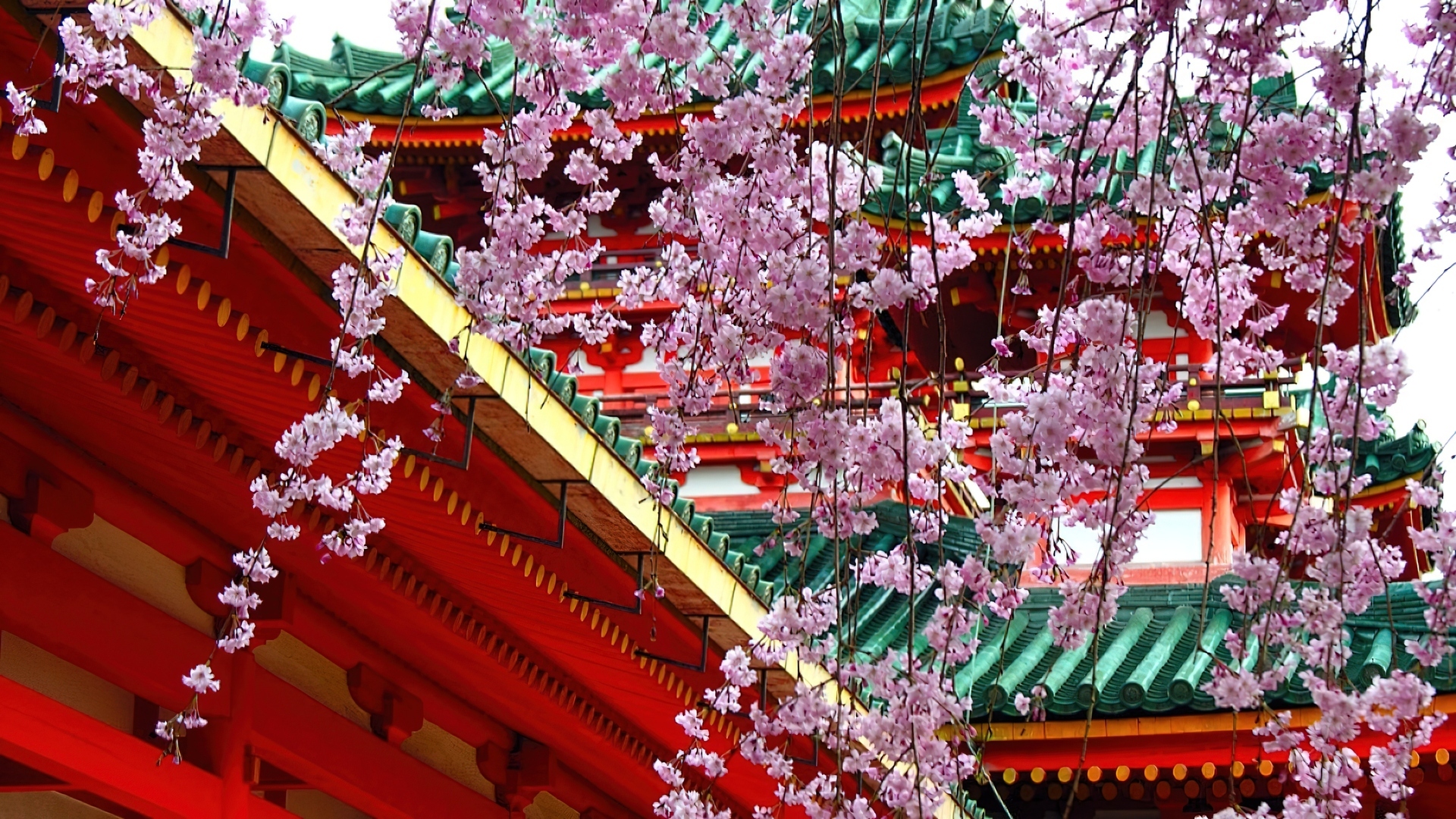 Kwiaty, Wiśni, Świątynia, Japonia