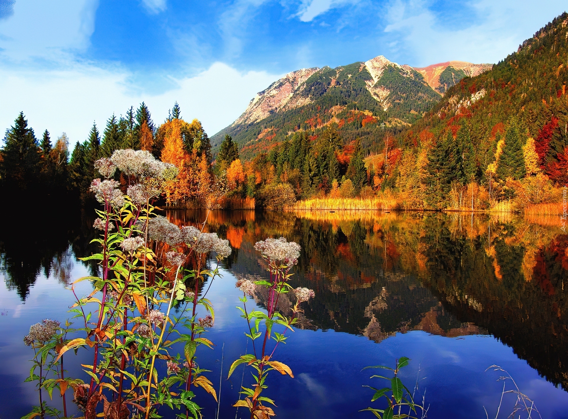 Jezioro, Góry, Las, Jesień