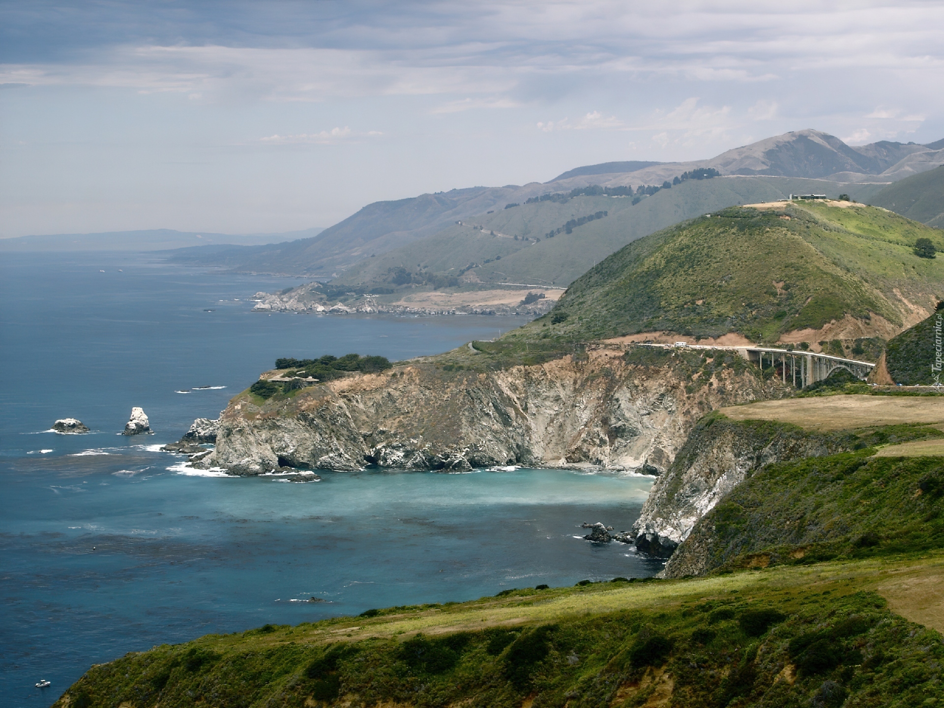 Big Sur, Woda, Trawa