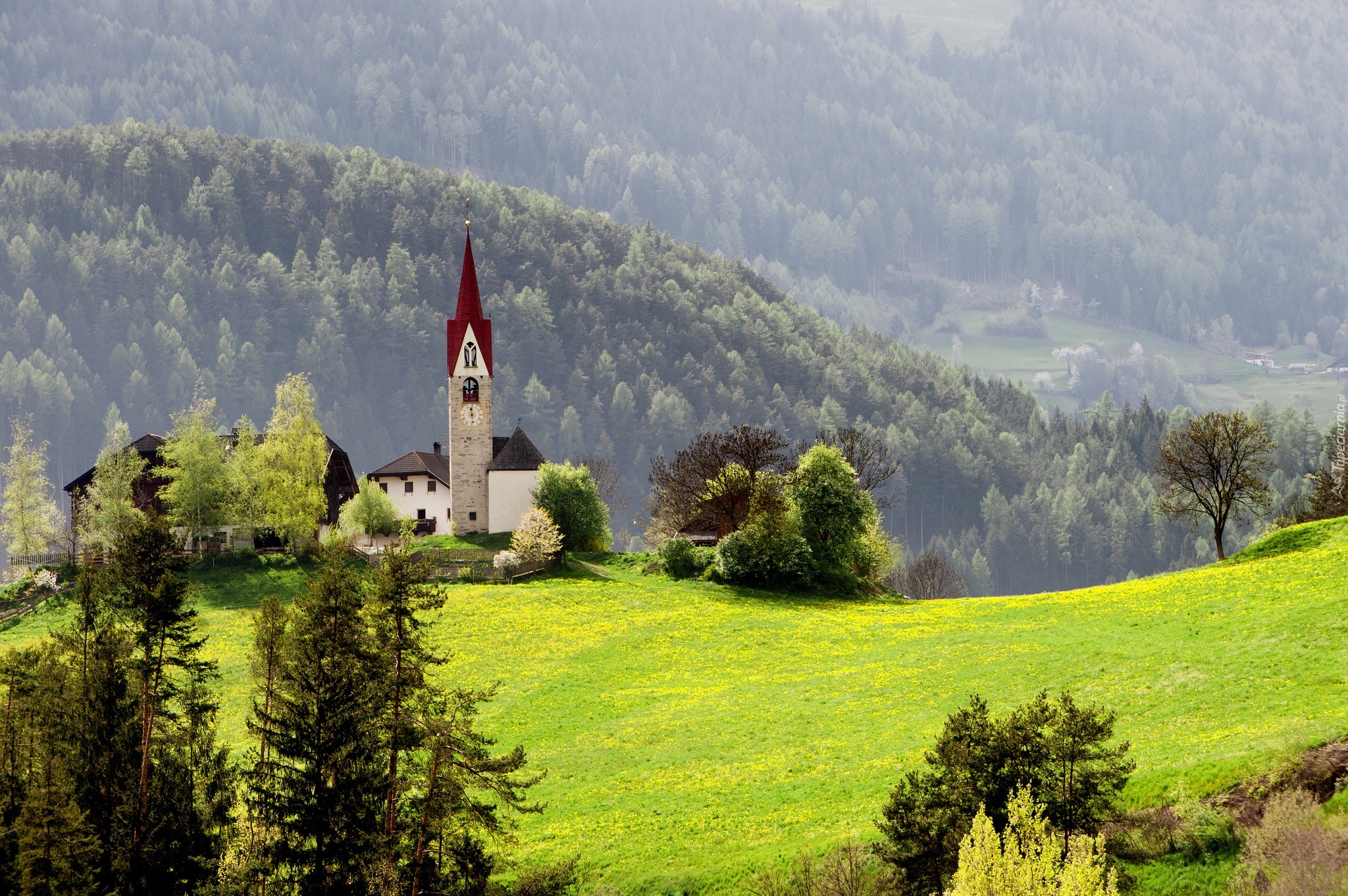 Góry, Wieża, Łąka, Las