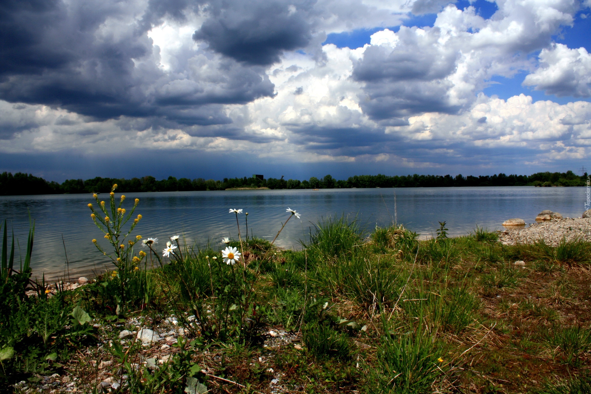 Łąka, Jezioro, Chmury