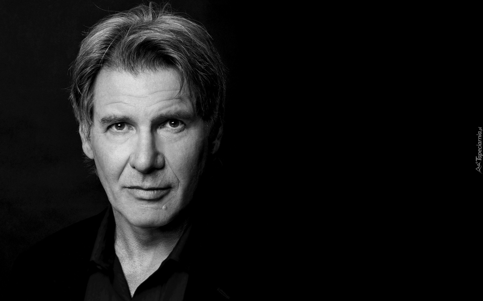 Harrison Ford, Aktor, Portret