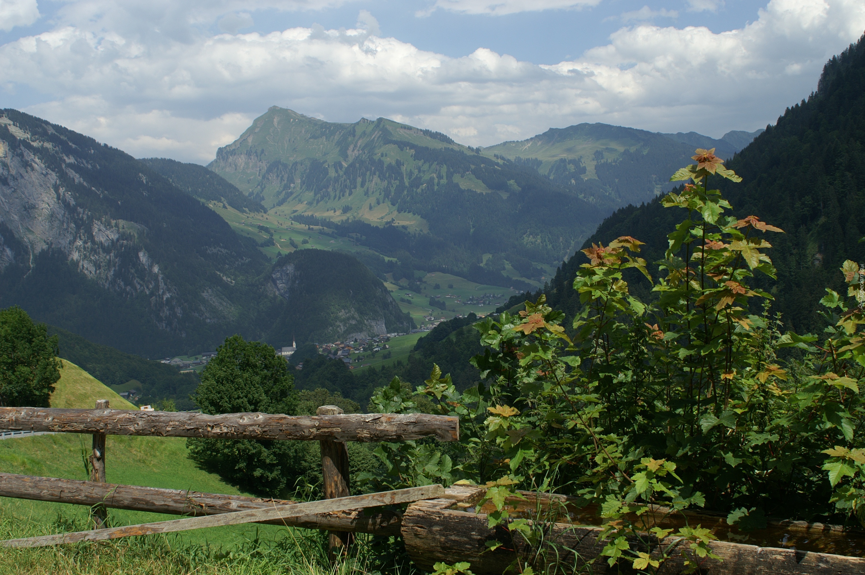 Au Vorarlberg, Austria, Zagroda, Rośliny