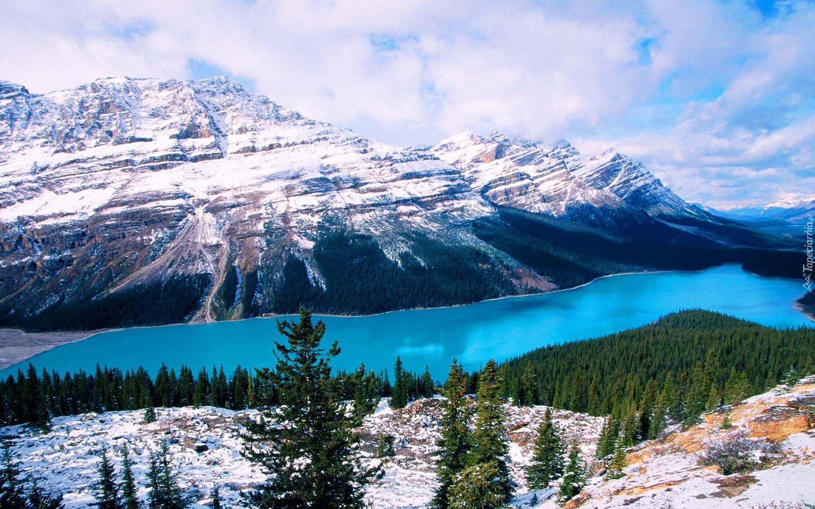 Góry, Jezioro, Peyto Lake, Opadająca, Drzewa, Śnieg, Park Narodowy Banff, Prowincja Alberta, Kanada