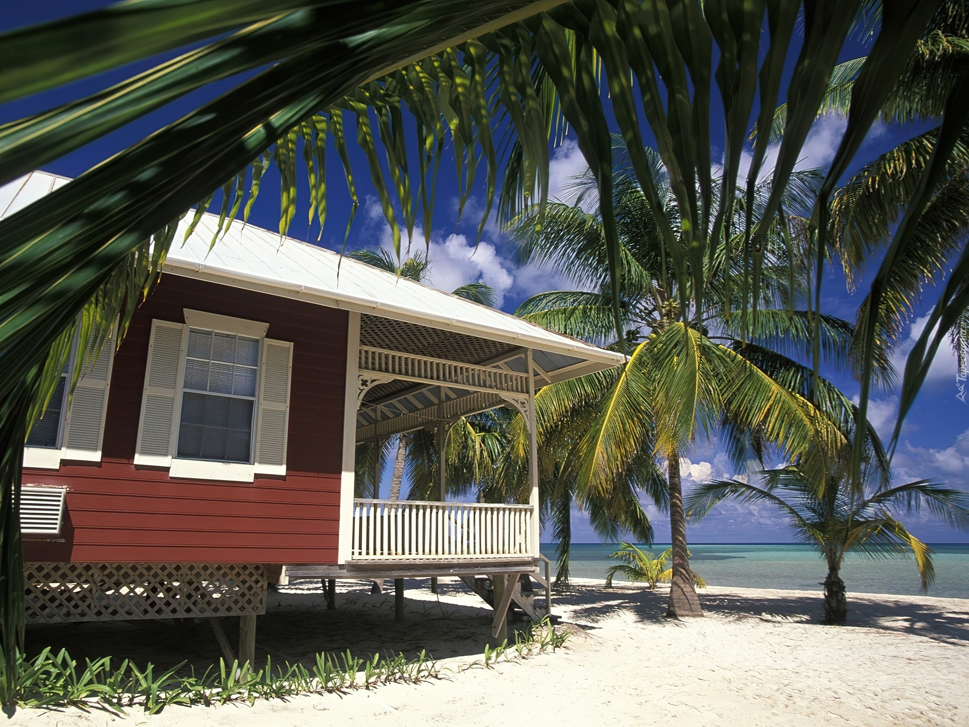 Beach cottage. Хилтон Файроуз бунгало снаружи. Бунгало во Флориде. Пальмы бунгало. Бунгало для отдыха во Флориде.