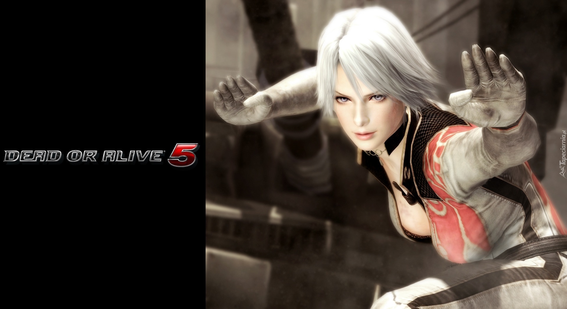 Dead Of Alive 5, Christie