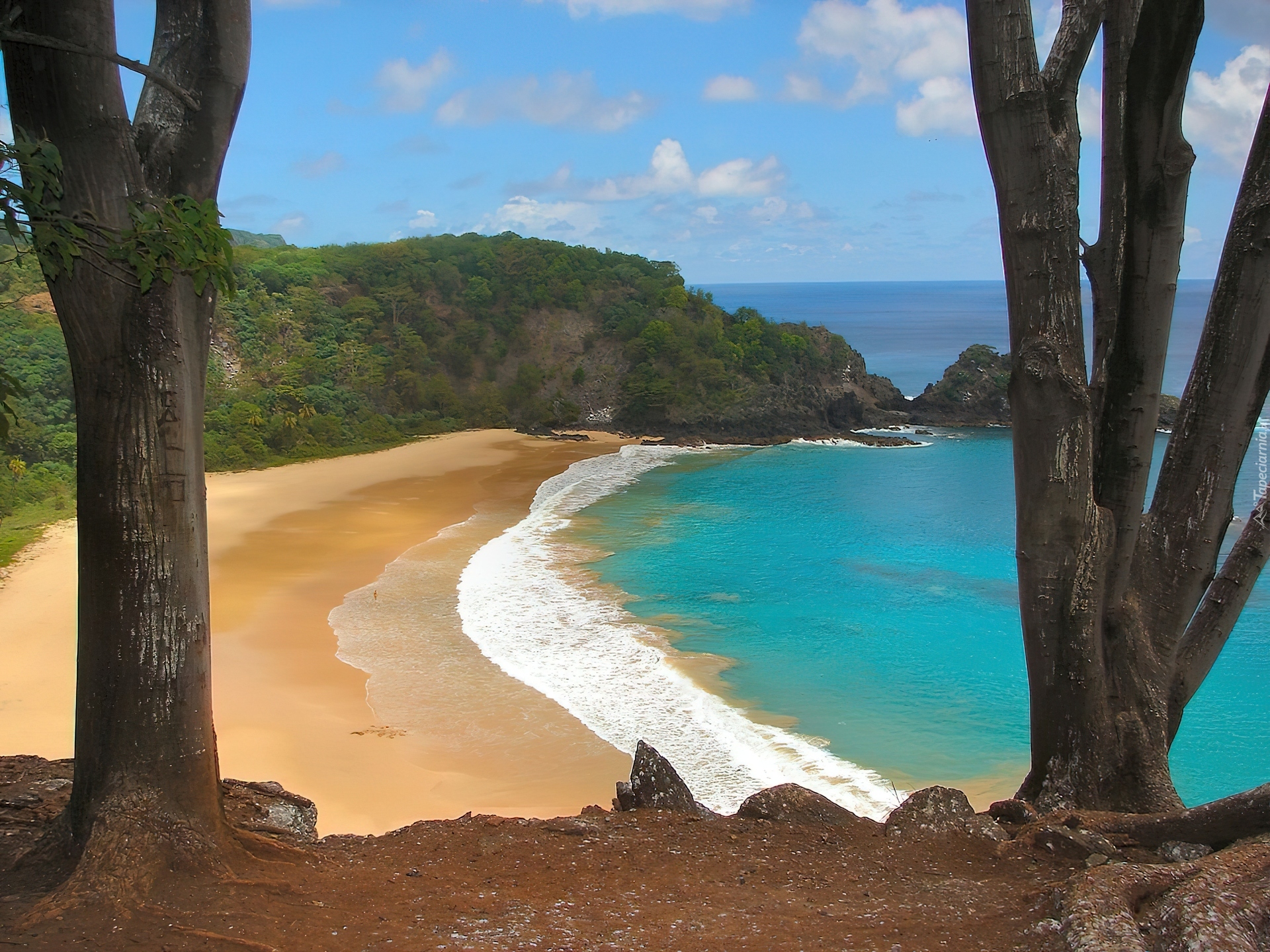 Plaża, Morze, Las, Fernando Noronha, Brazylia