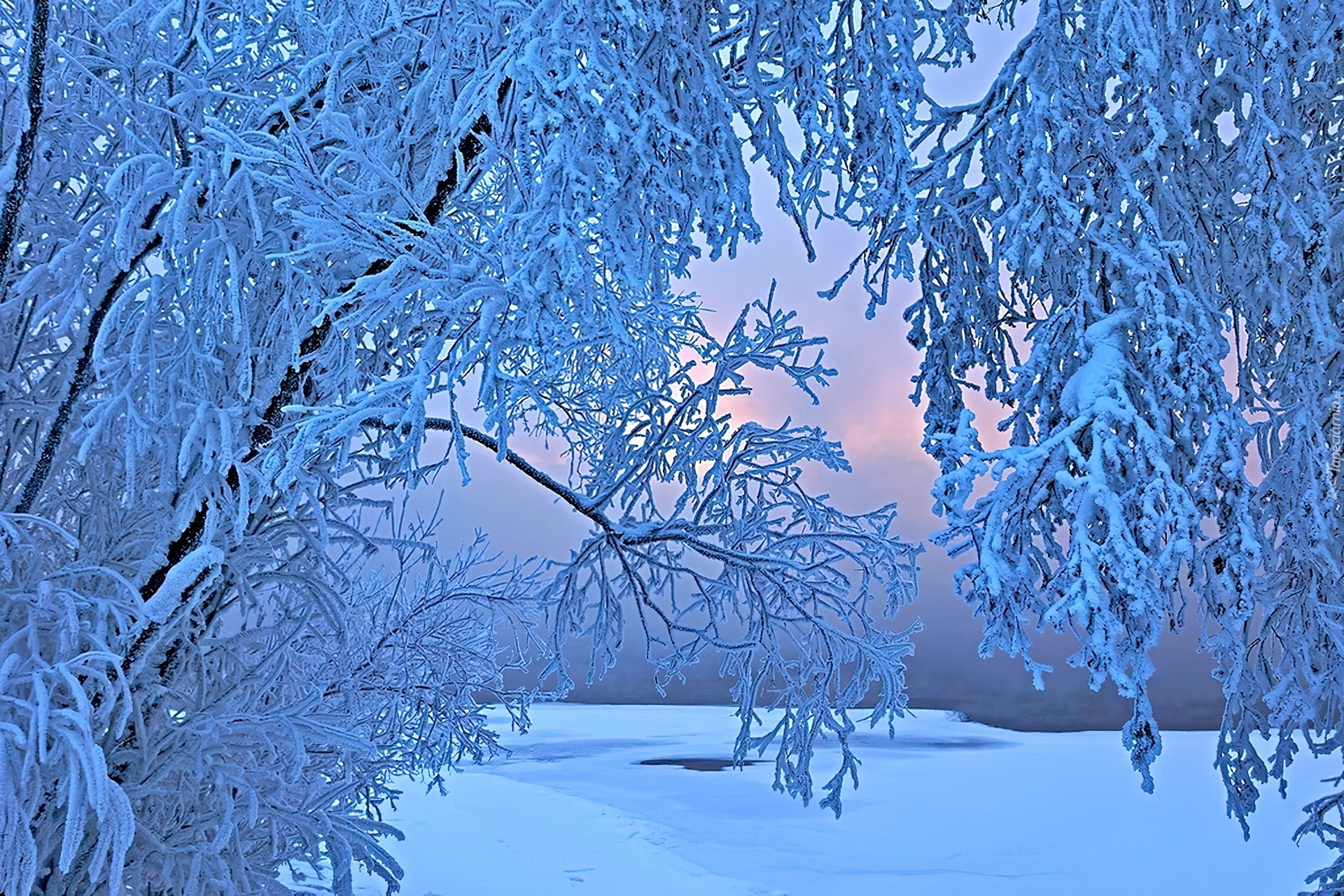 Снежинок село. Красивая зима. Снежная зима. Зима картинки. Зимняя красота.