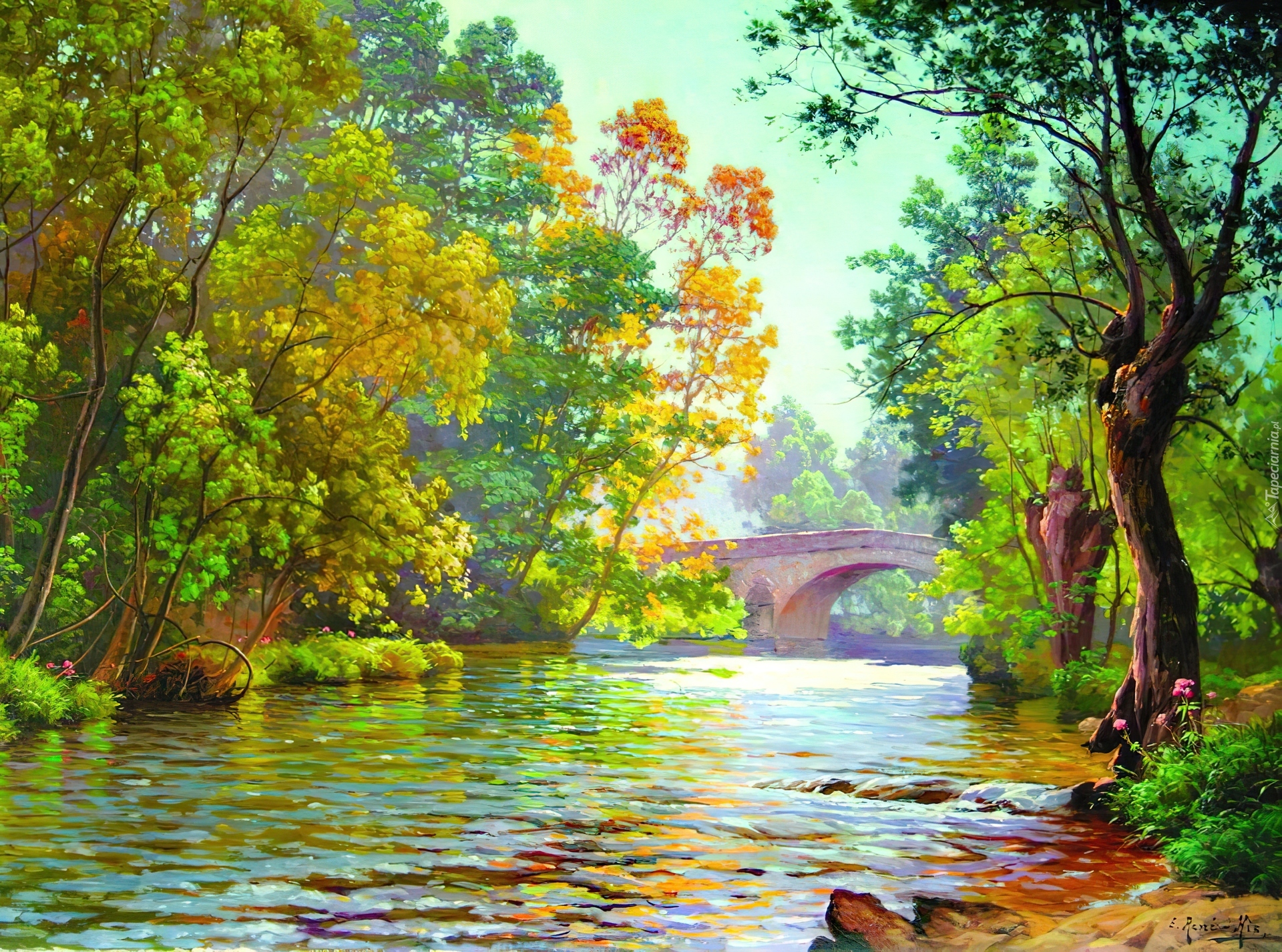 Rzeka, Most, Las
