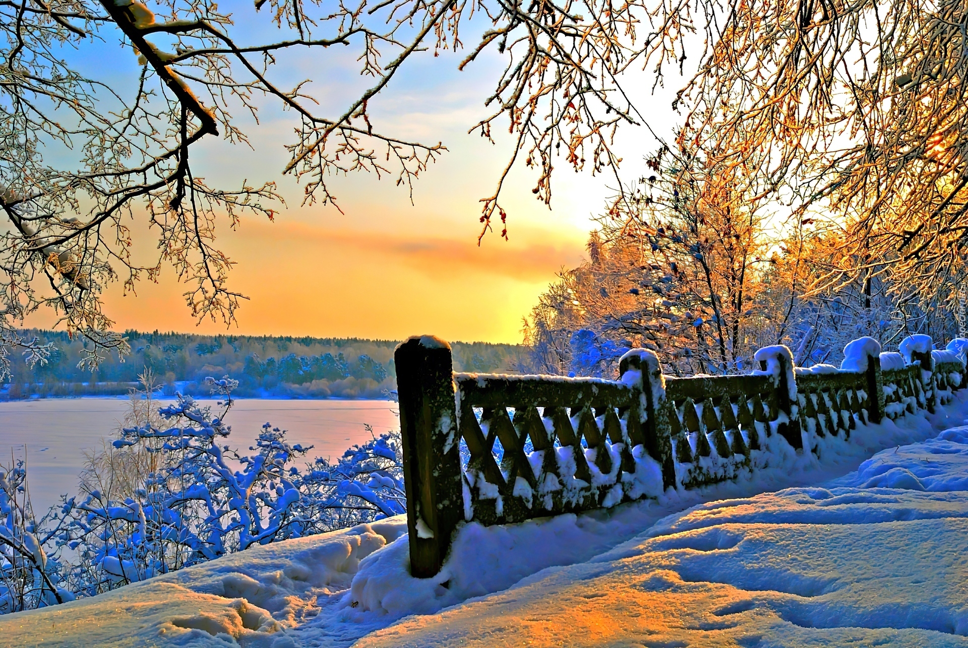 Winter day. Зимняя природа сани. Зимнее утро сани. Красивый забор с елками зима закат. Sunny Winter Day.