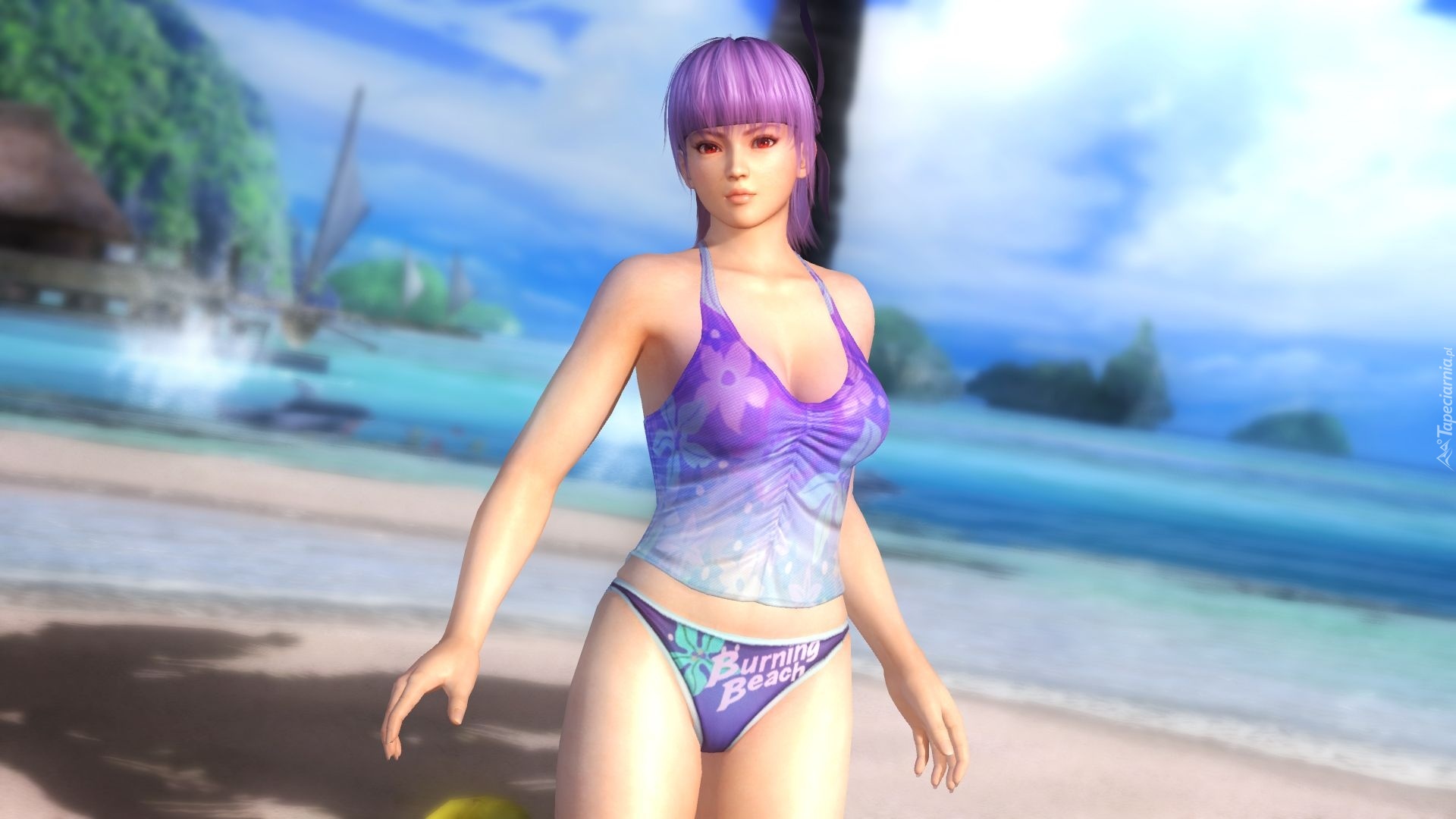 Dead Or Alive 5, Ayane