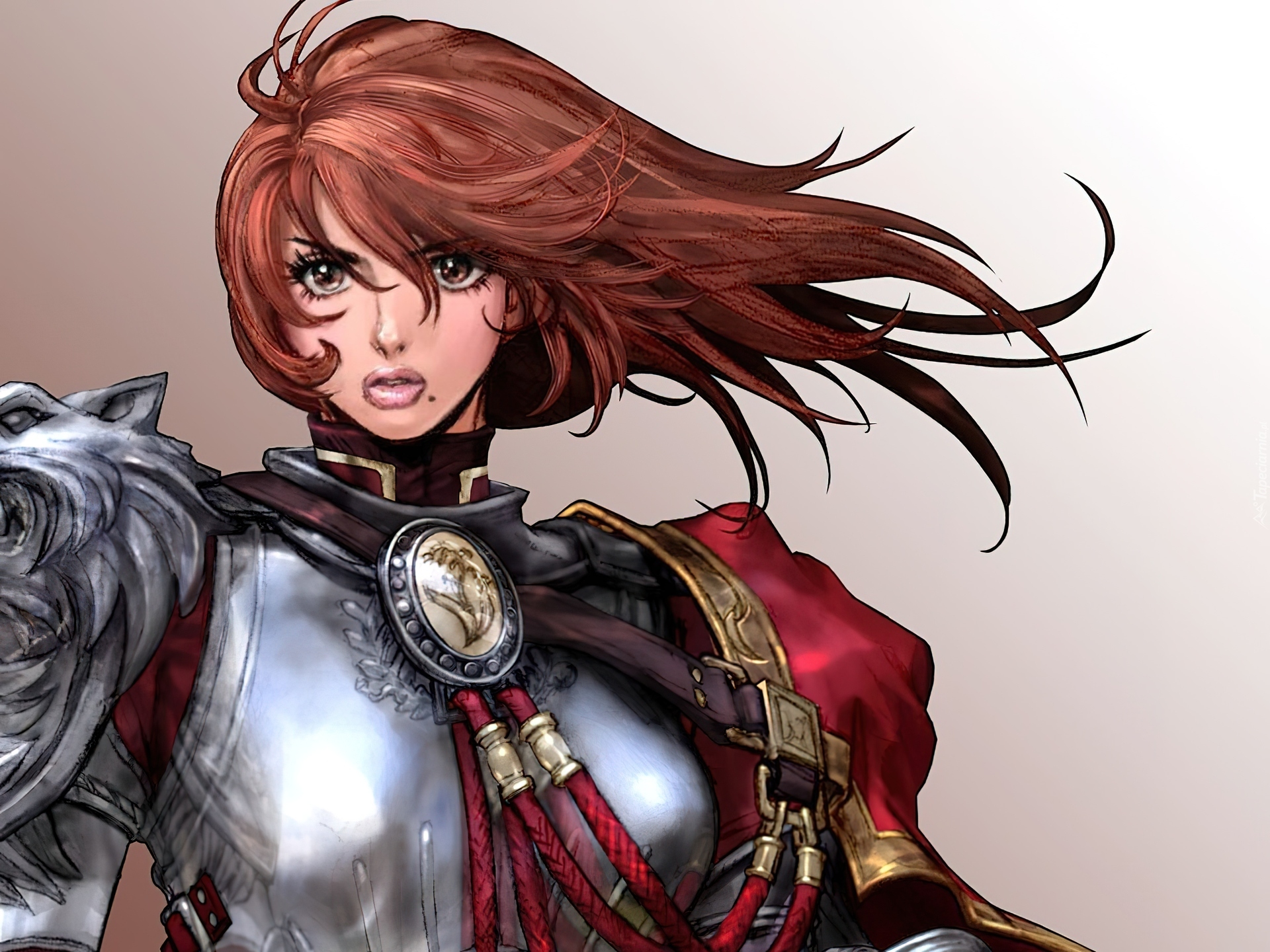 Soul Calibur IV, Hilde