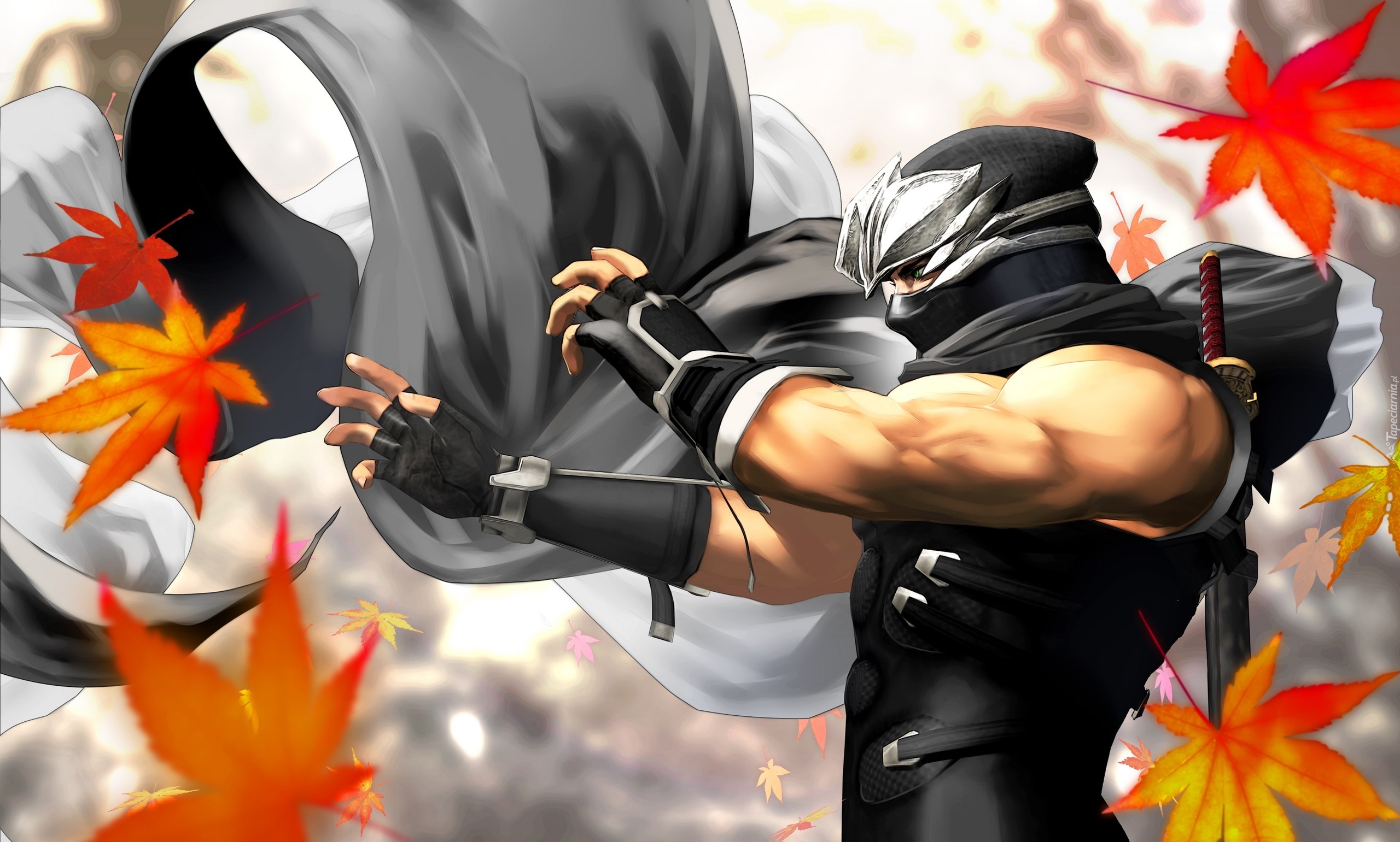 Dead Or Alive Dimension, Ryu Hayabusa