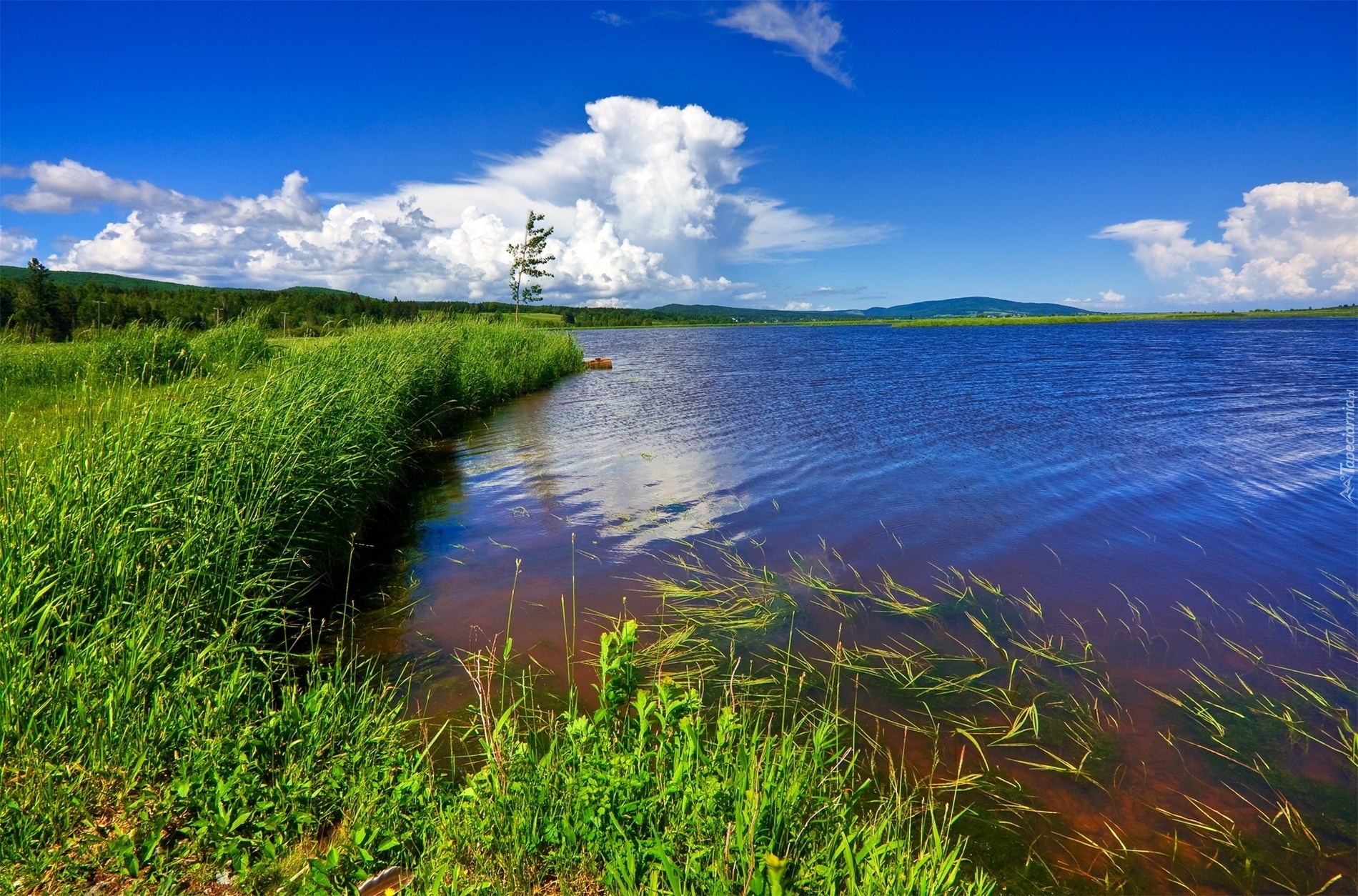 Jezioro, Łąka ,Chmury