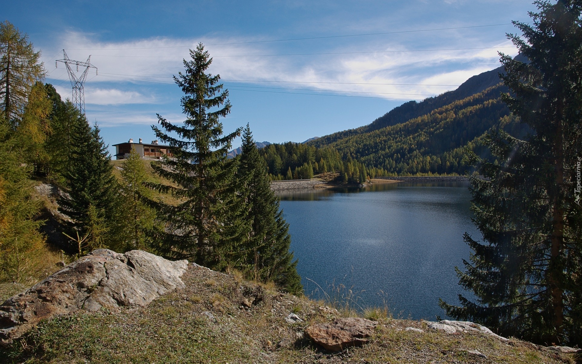 Las, Domek, Jezioro, Drzewa, Stacja, Prądu