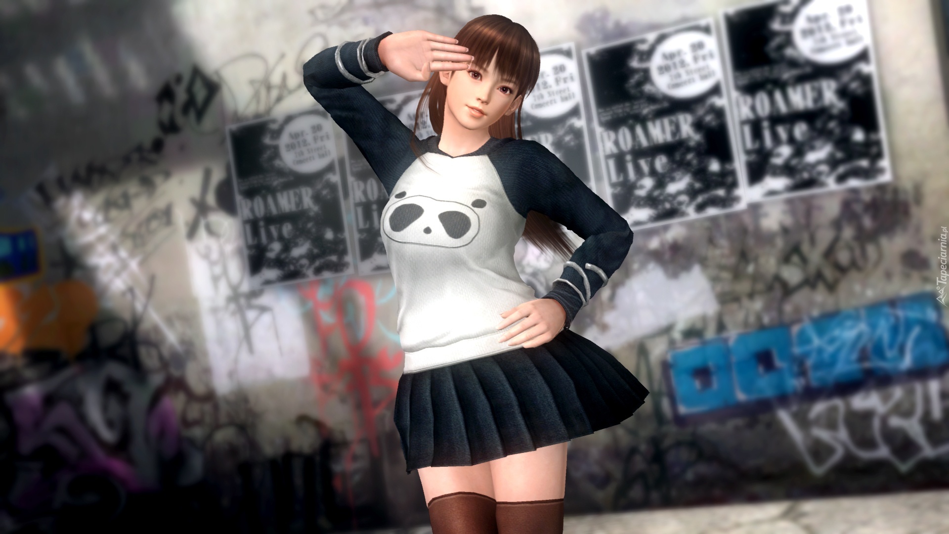 Dead Or Alive 5, Lei Fang