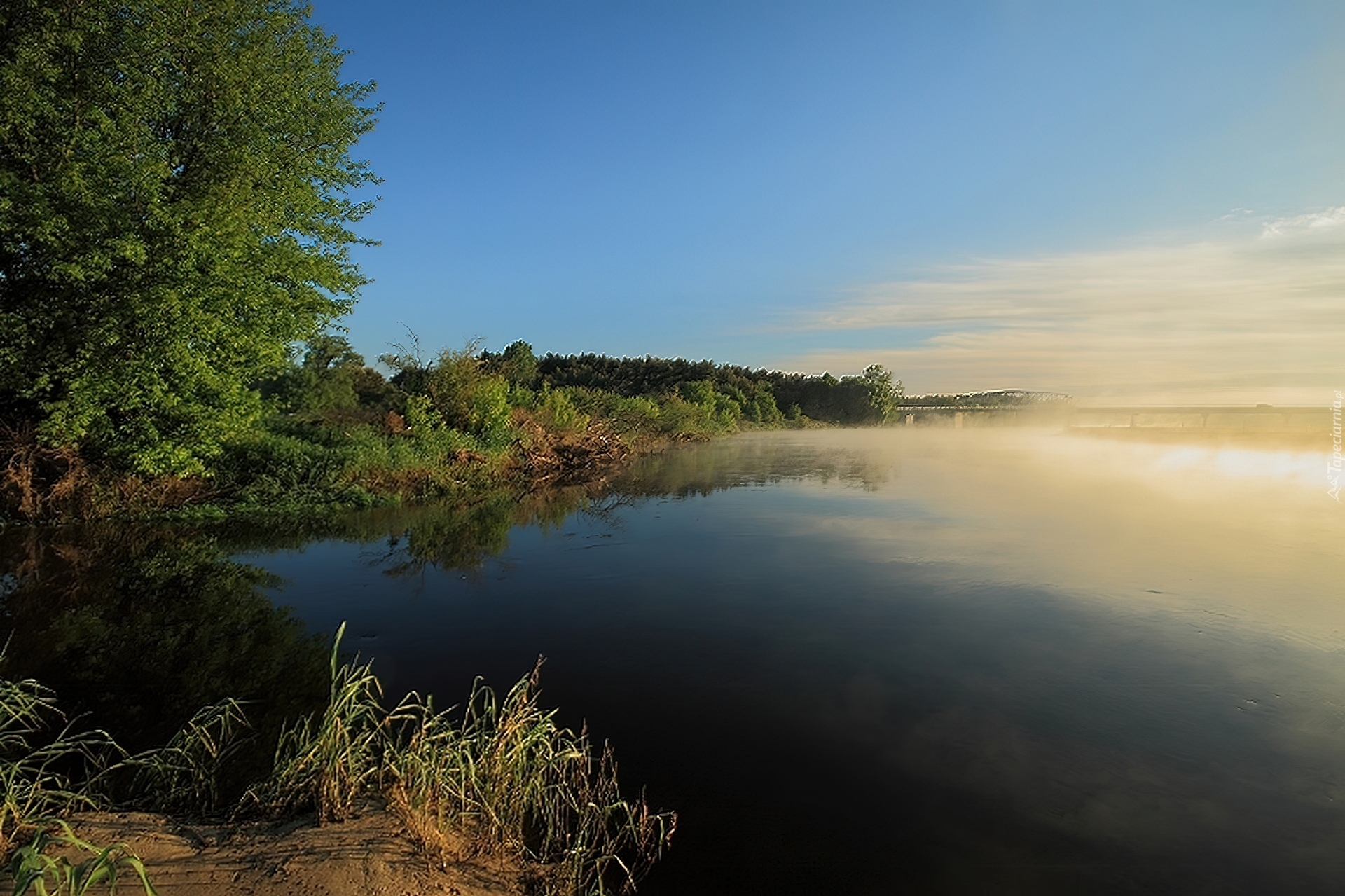 Jezioro, Mgła, Las