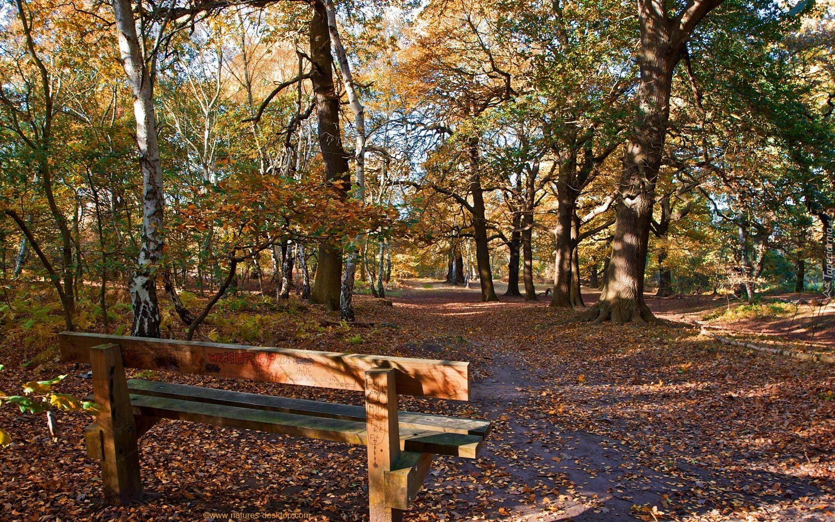 Jesień, Park, Ławeczka