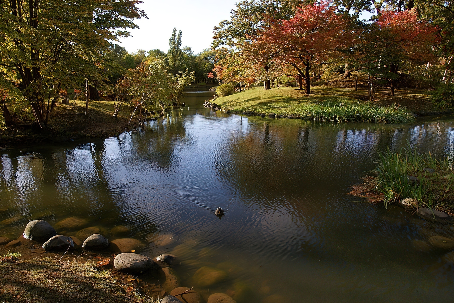 Jezioro, Park, Nakajima, Japonia