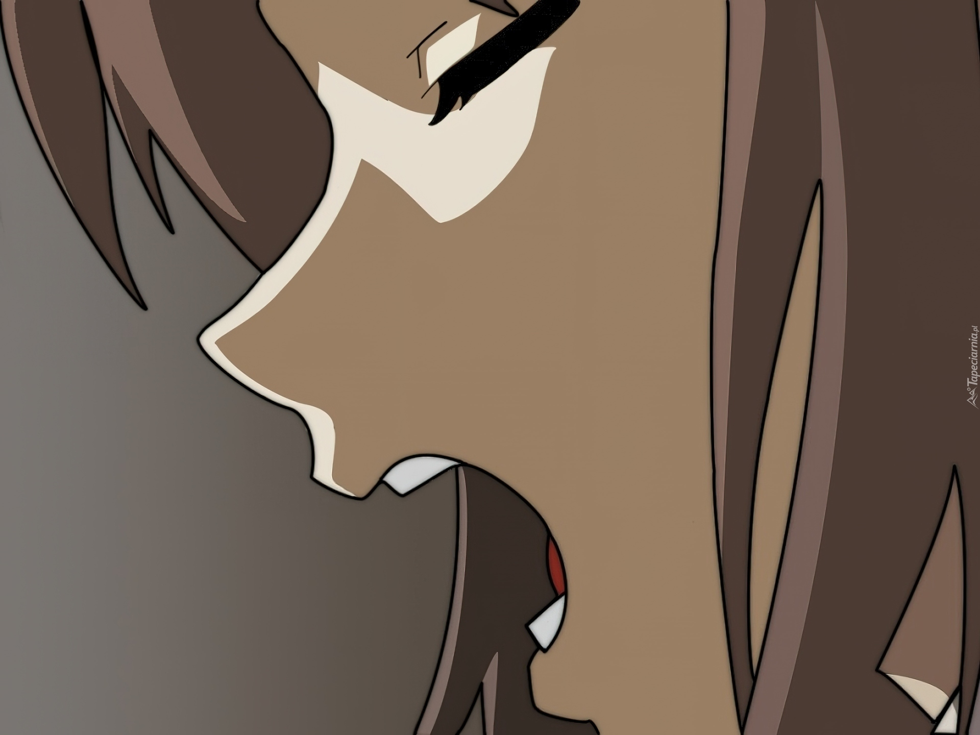 Suzumiya Haruhi No Yuuutsu,profil