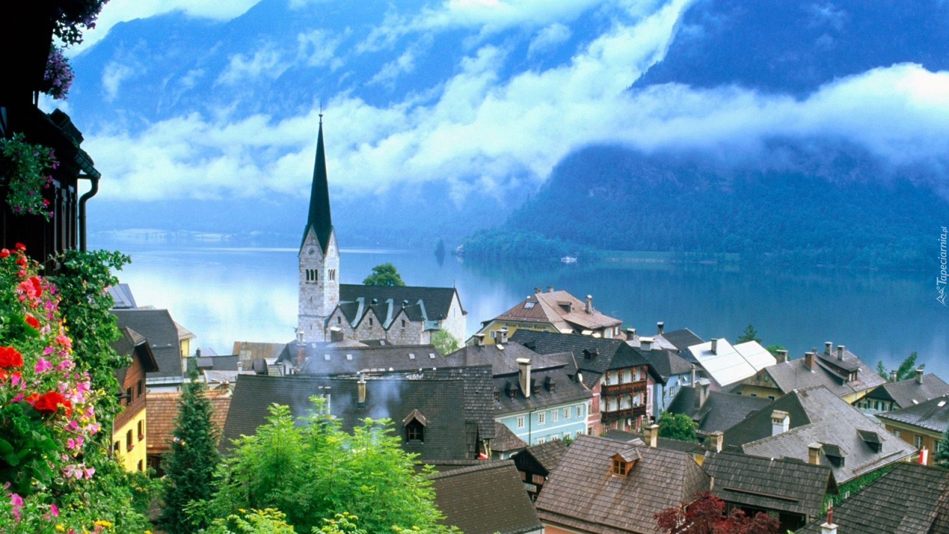 Panorama, Salzkammergut, Austria