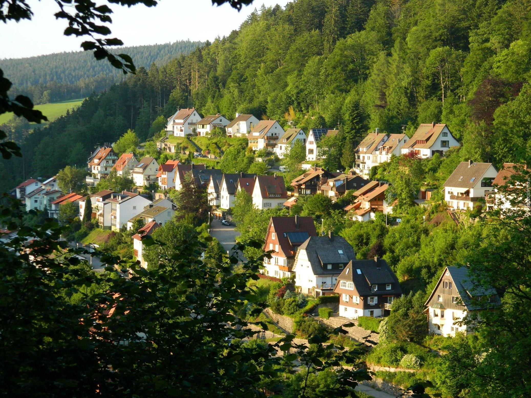 Forest town. Шварцвальд Германия. Шварцвальд Бавария. Шварцвальд лес. Национальный парк Шварцвальд.