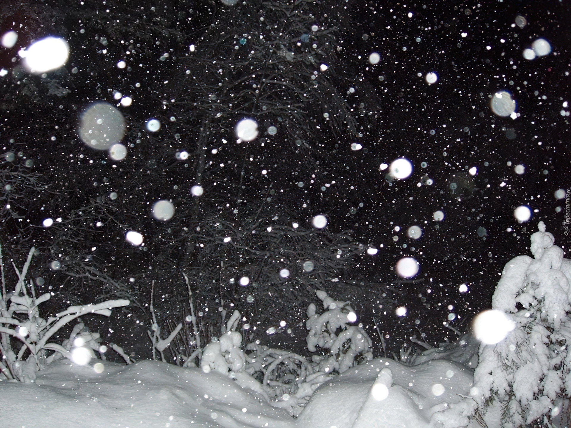 Снег падал большими хлопьями. Хлопья снега. Снегопад. Крупные хлопья снега. Падающий снег.