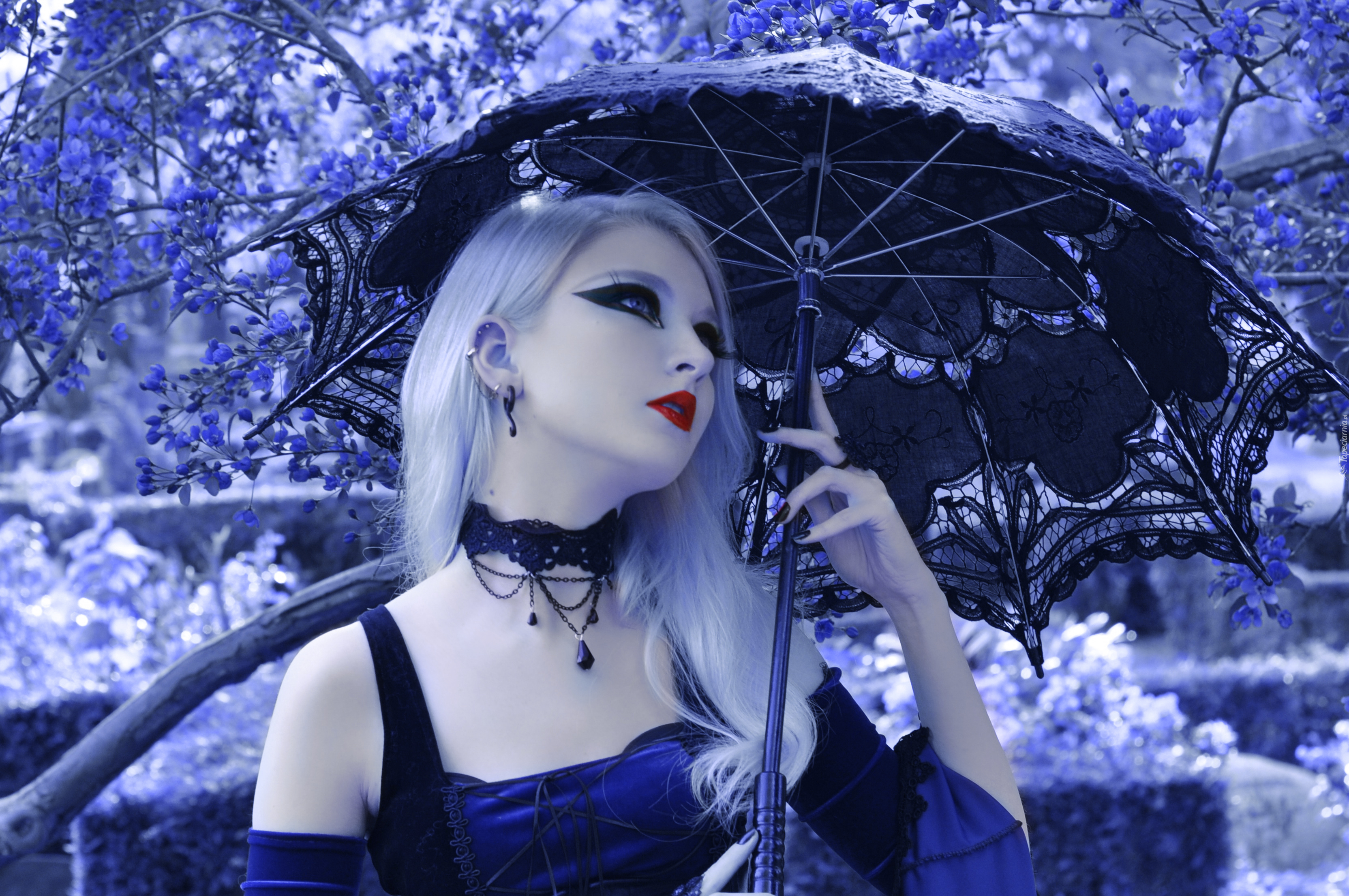 Kobieta, Parasol, Gothic