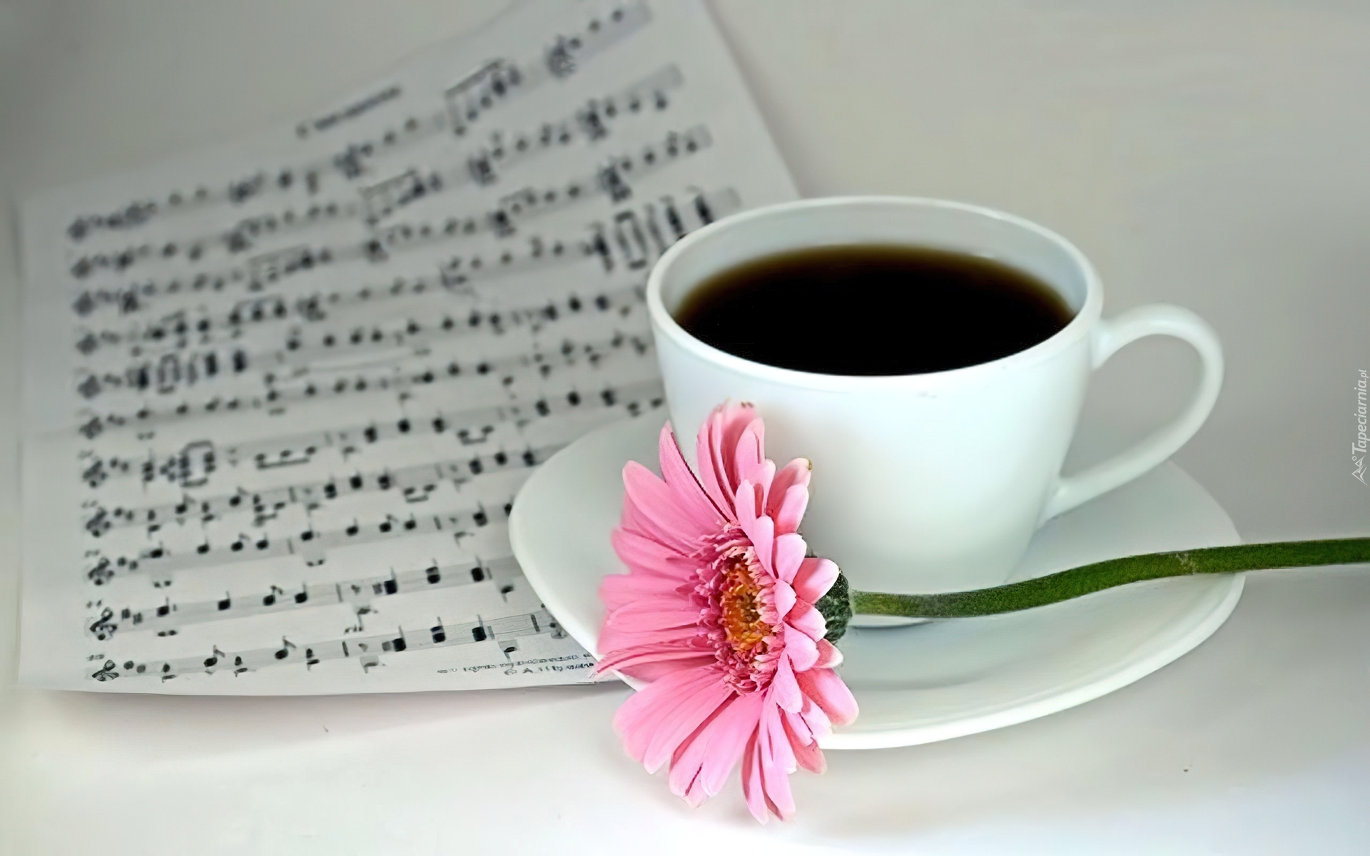 Наидобрейшее утро как правильно пишется. С добрым утром картинки красивые. Фото чашка кофе и цветы. Стильные пожелания с добрым утром. Кофе и цветы красивая композиция.