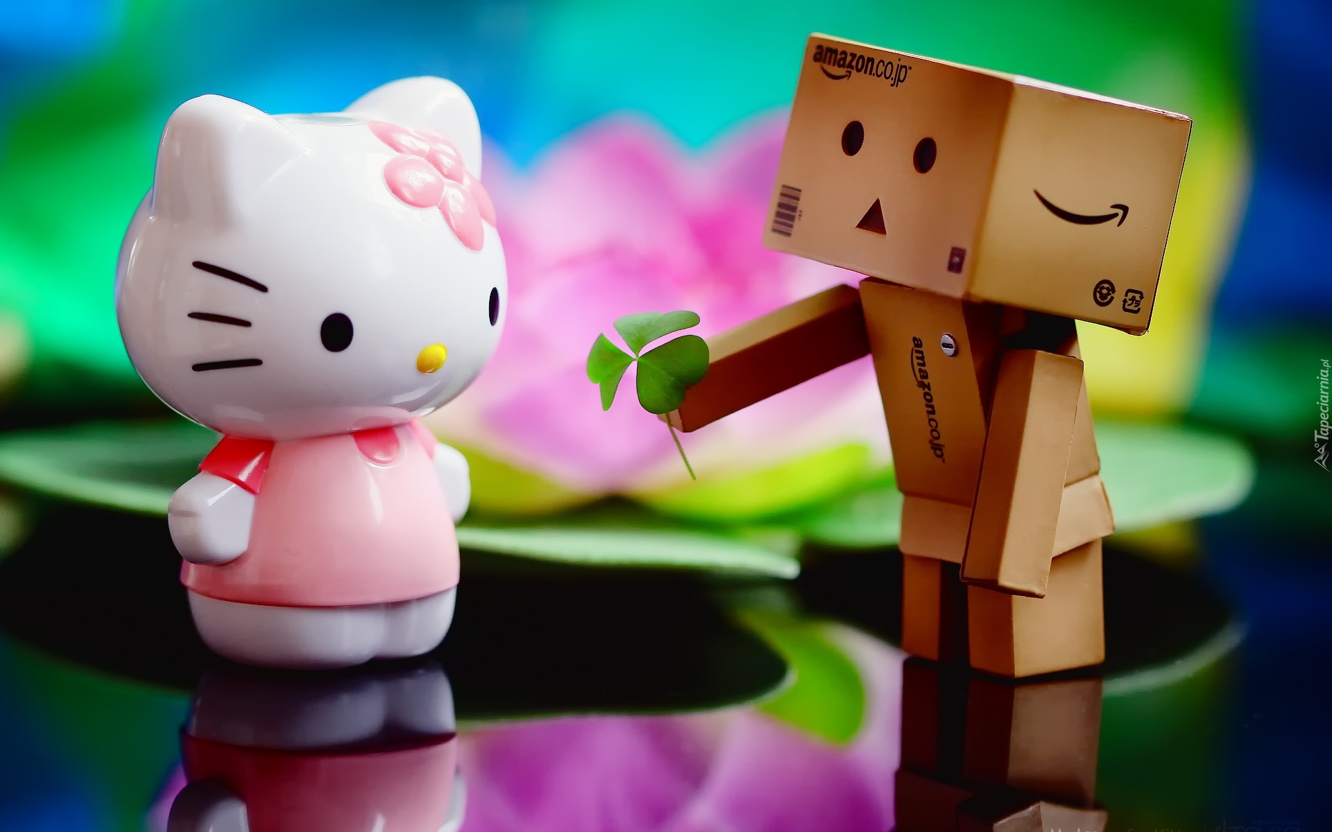 Kitty, Danbo, Koniczyna