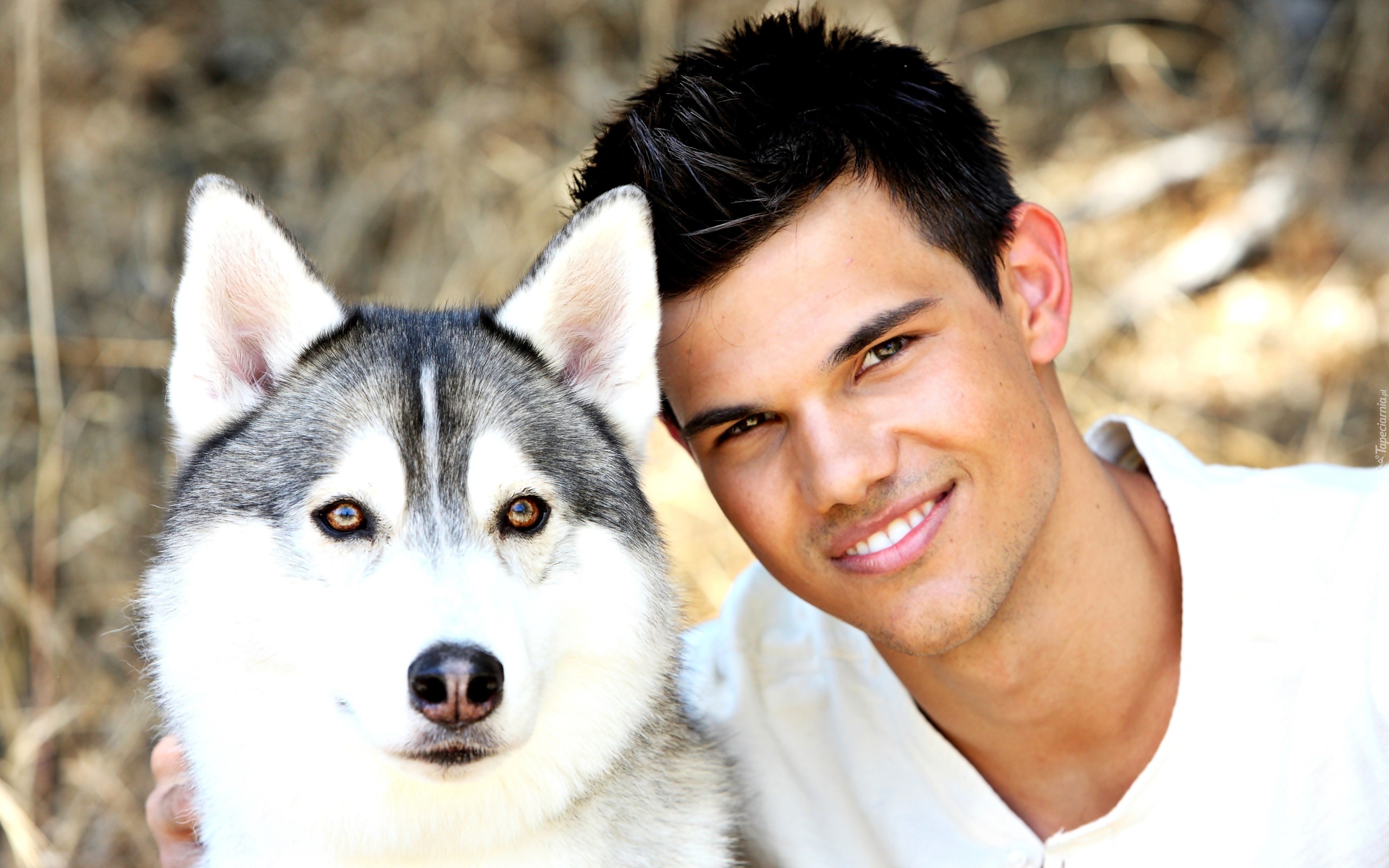 Taylor Lautner, Uśmiech, Głowa, Psa