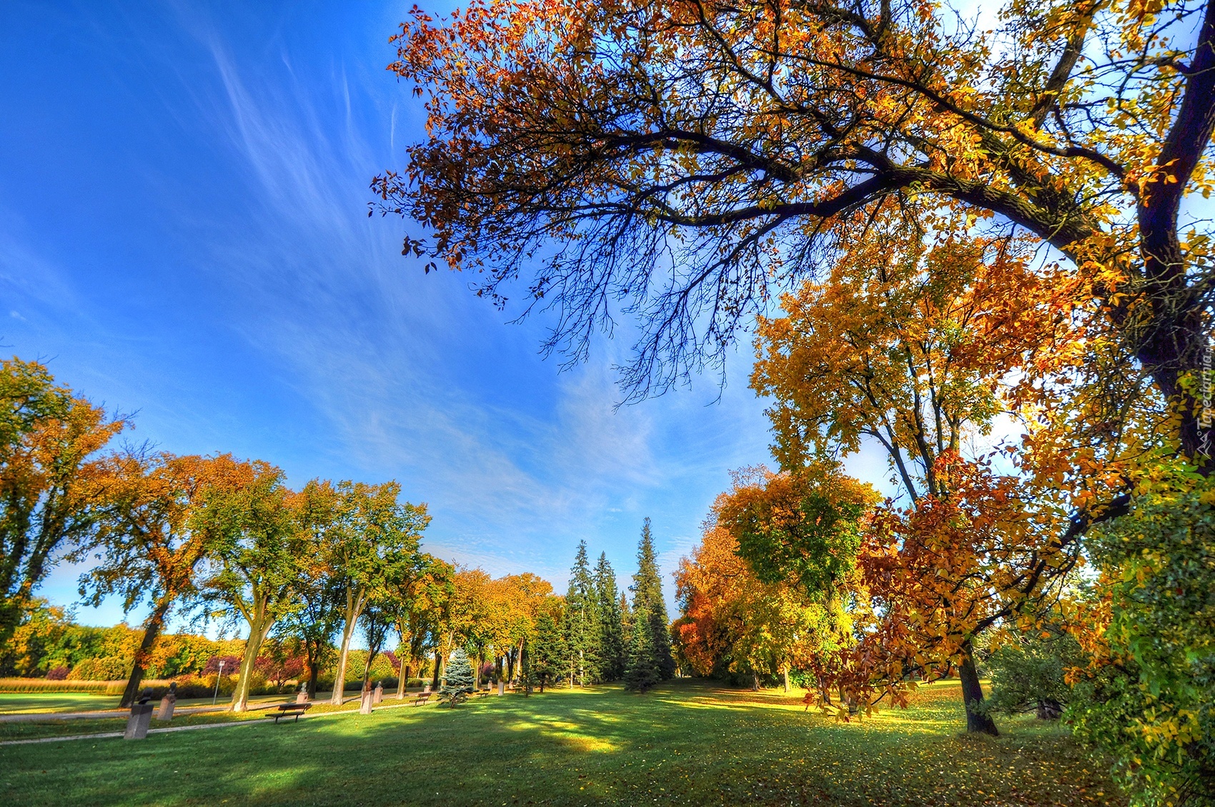 Jesień, Park, Drzewa, Niebo