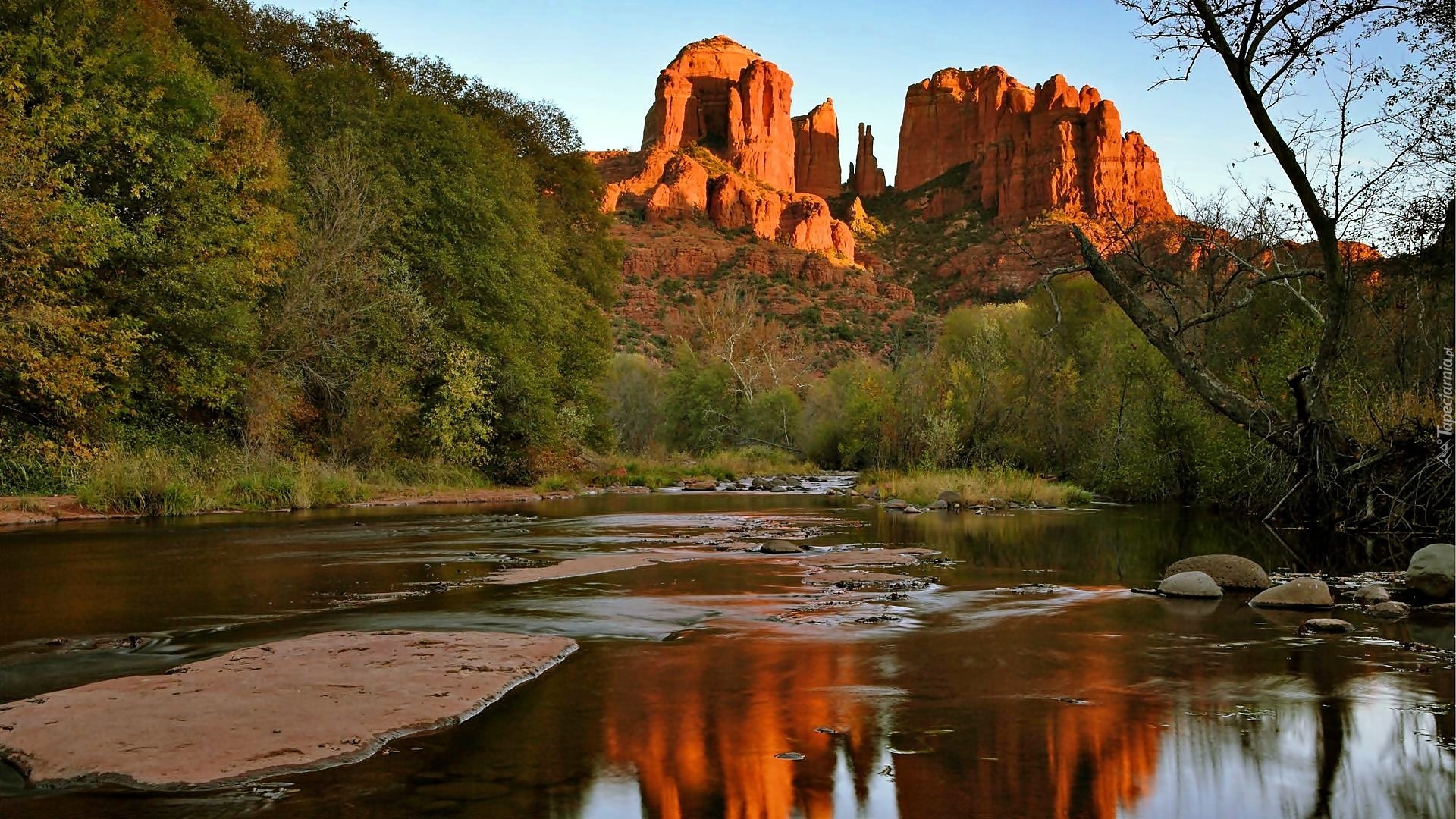 Czerwone, Skały, Rzeka, Las, Sedona, Arizona