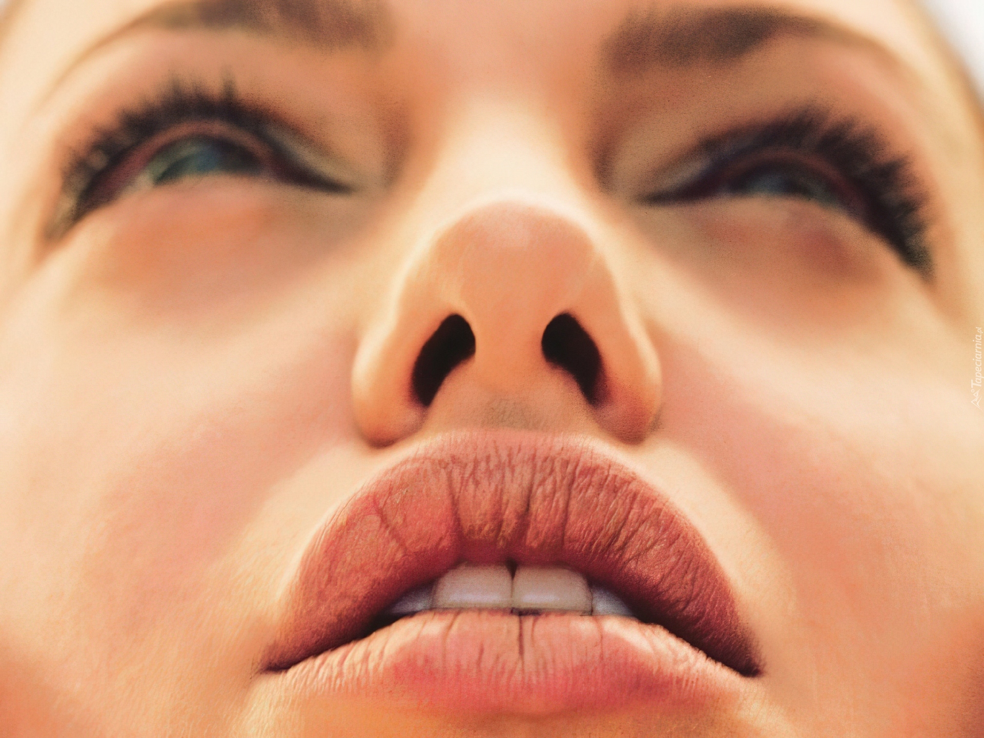 Пухлые губы Анджелины Джоли