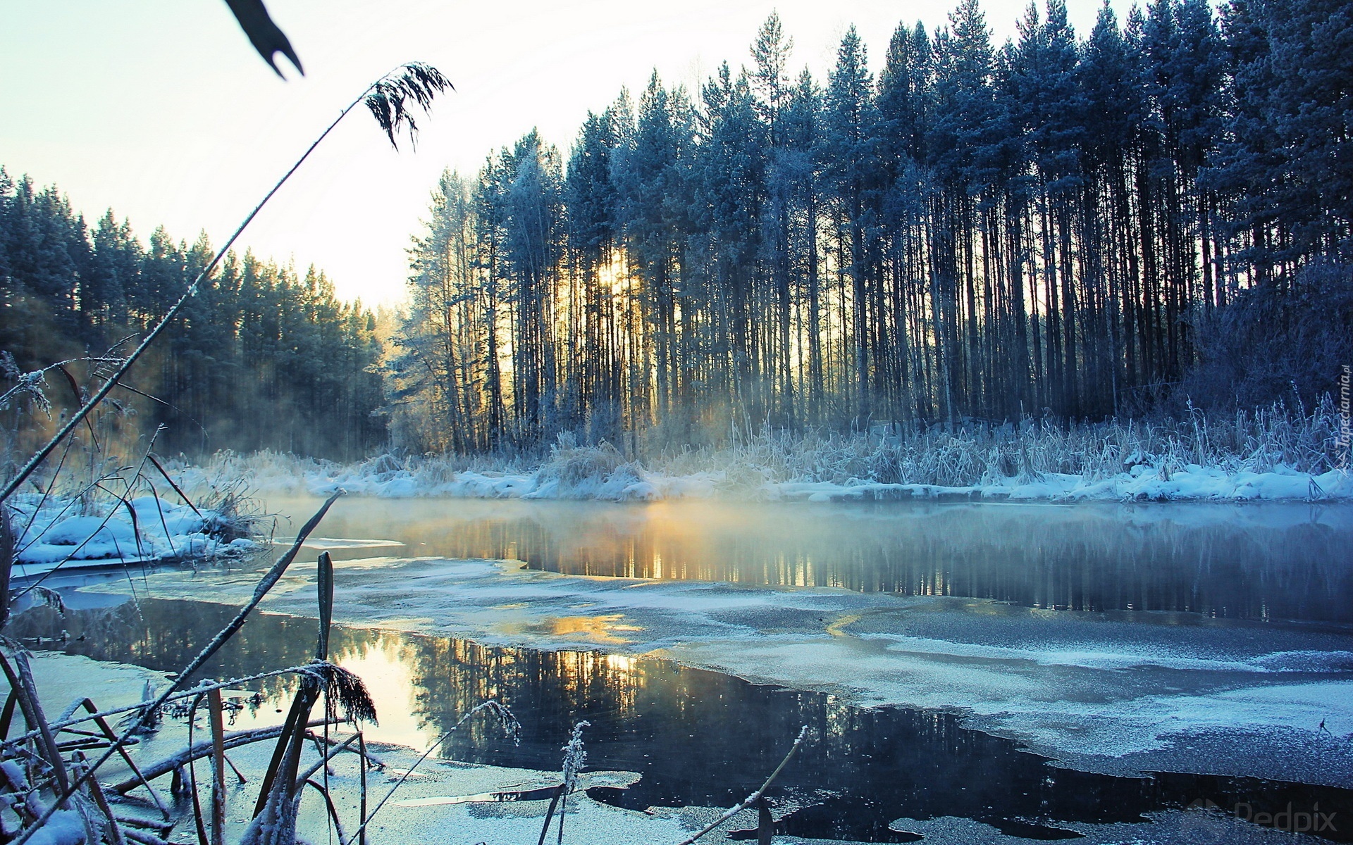 Rzeka, Śnieg, Drzewa