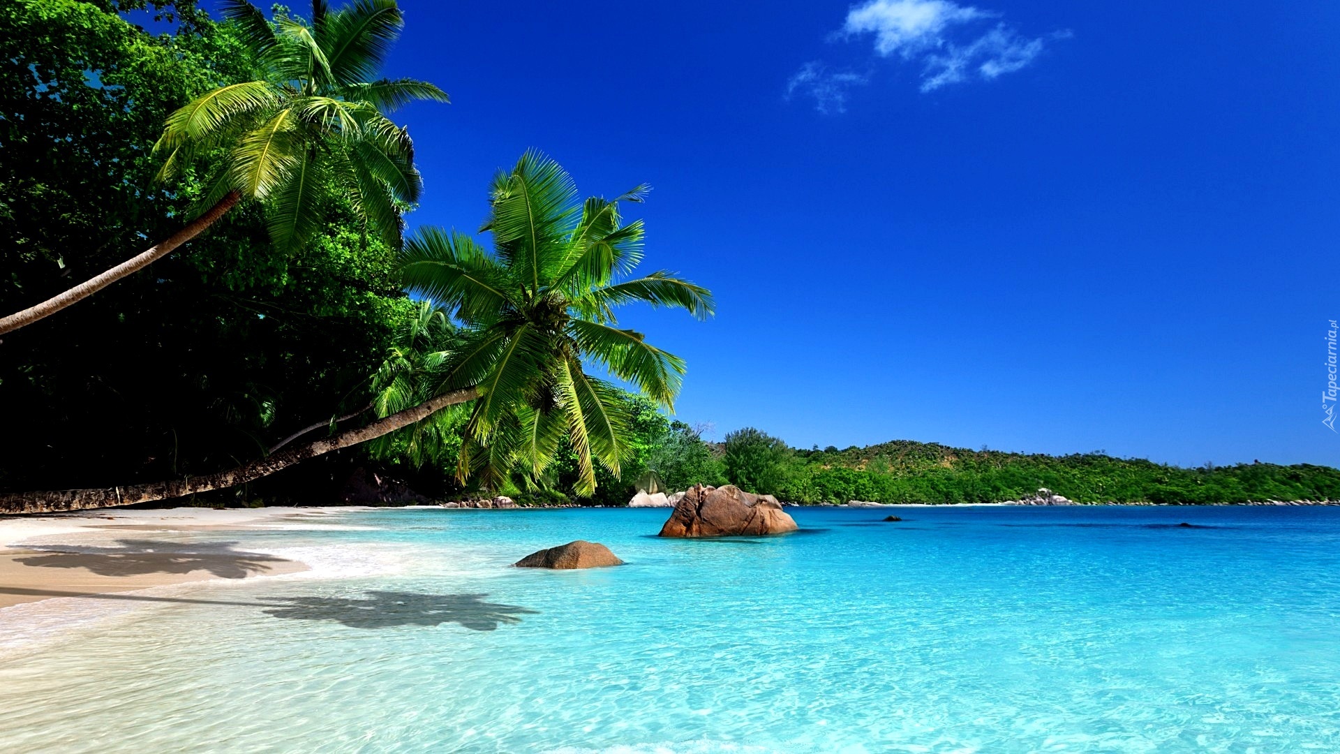 Ocean, Plaża, Wyspa, Tropiki