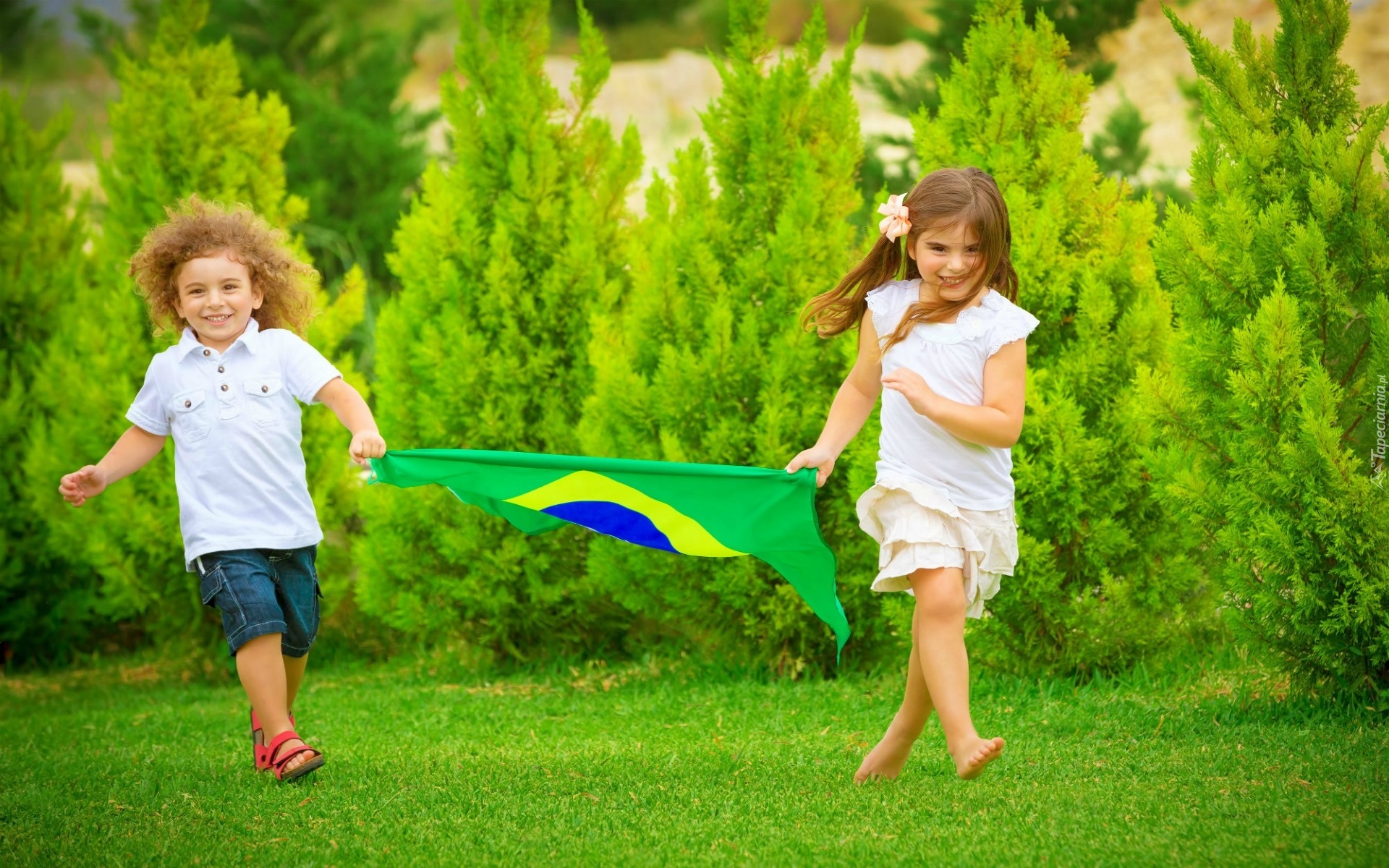 Dzieci, Flaga, Brazylijska, Łąka, Drzewa, Mistrzostwa, Świata, 2014