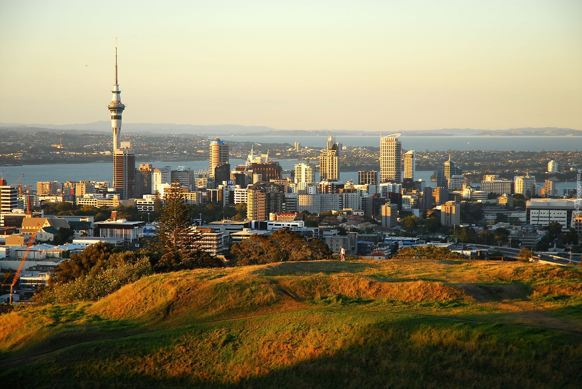 Auckland, Nowa Zelandia, Panorama