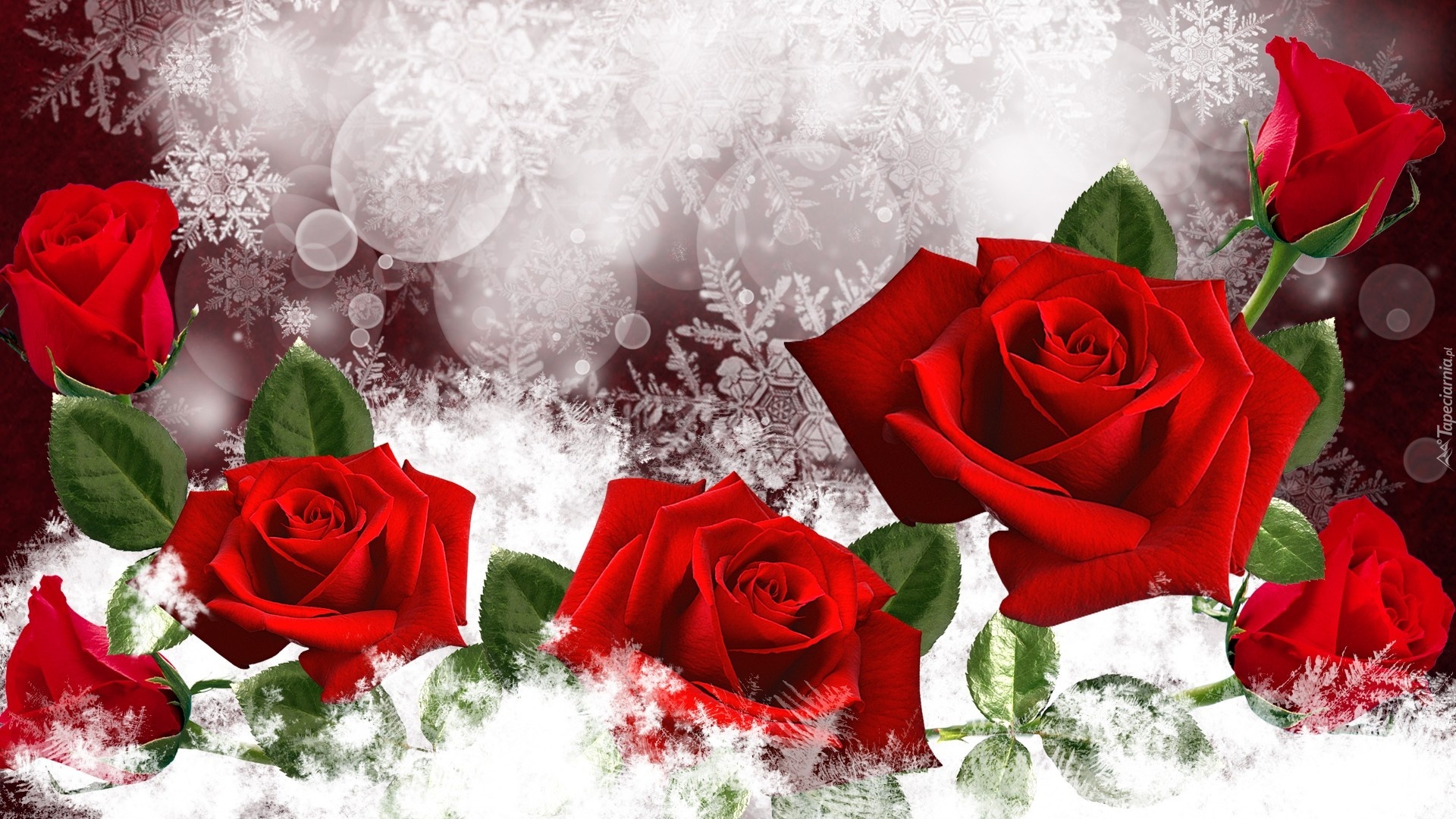 Czerwone, Róże, Art, Podziękowanie, Urodzinyża