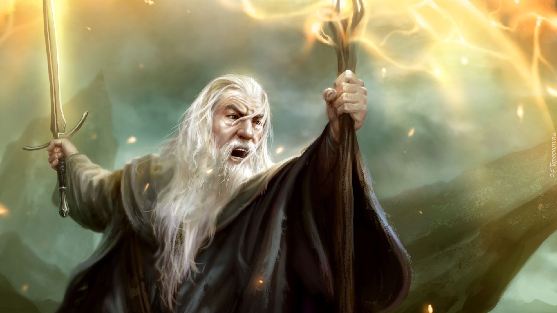 Gandalf, Gra, Guardians of Middle-Earth