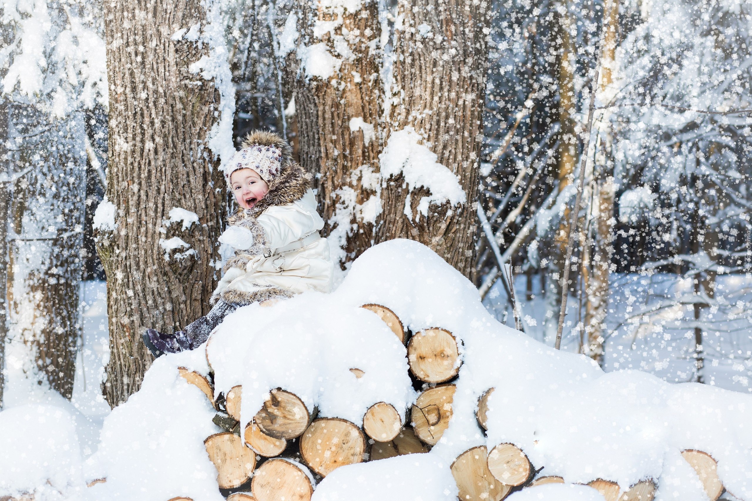 Zima, Śnieg, Dziecko, Drzewa