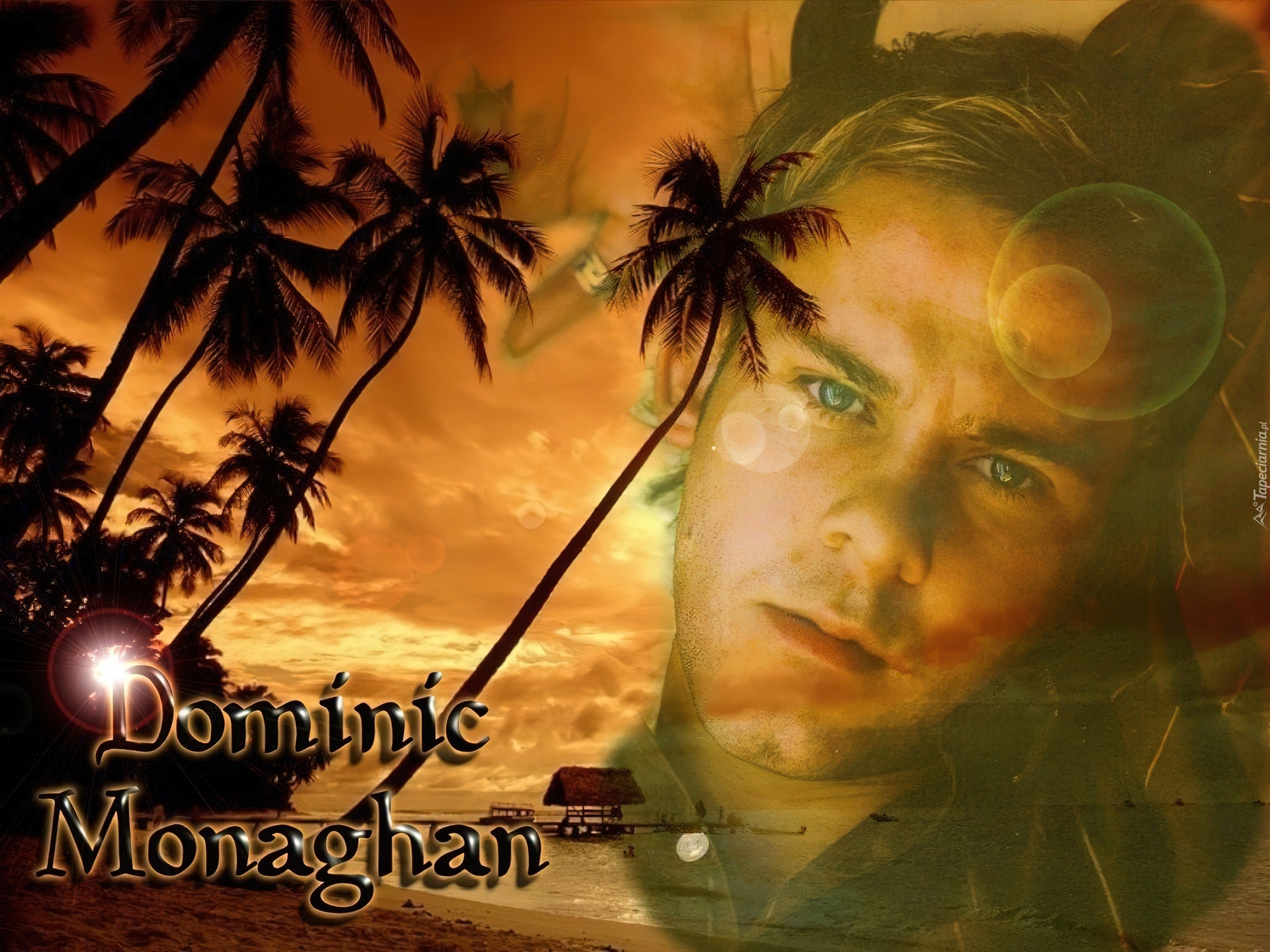 Dominic Monaghan,palmy, plaża