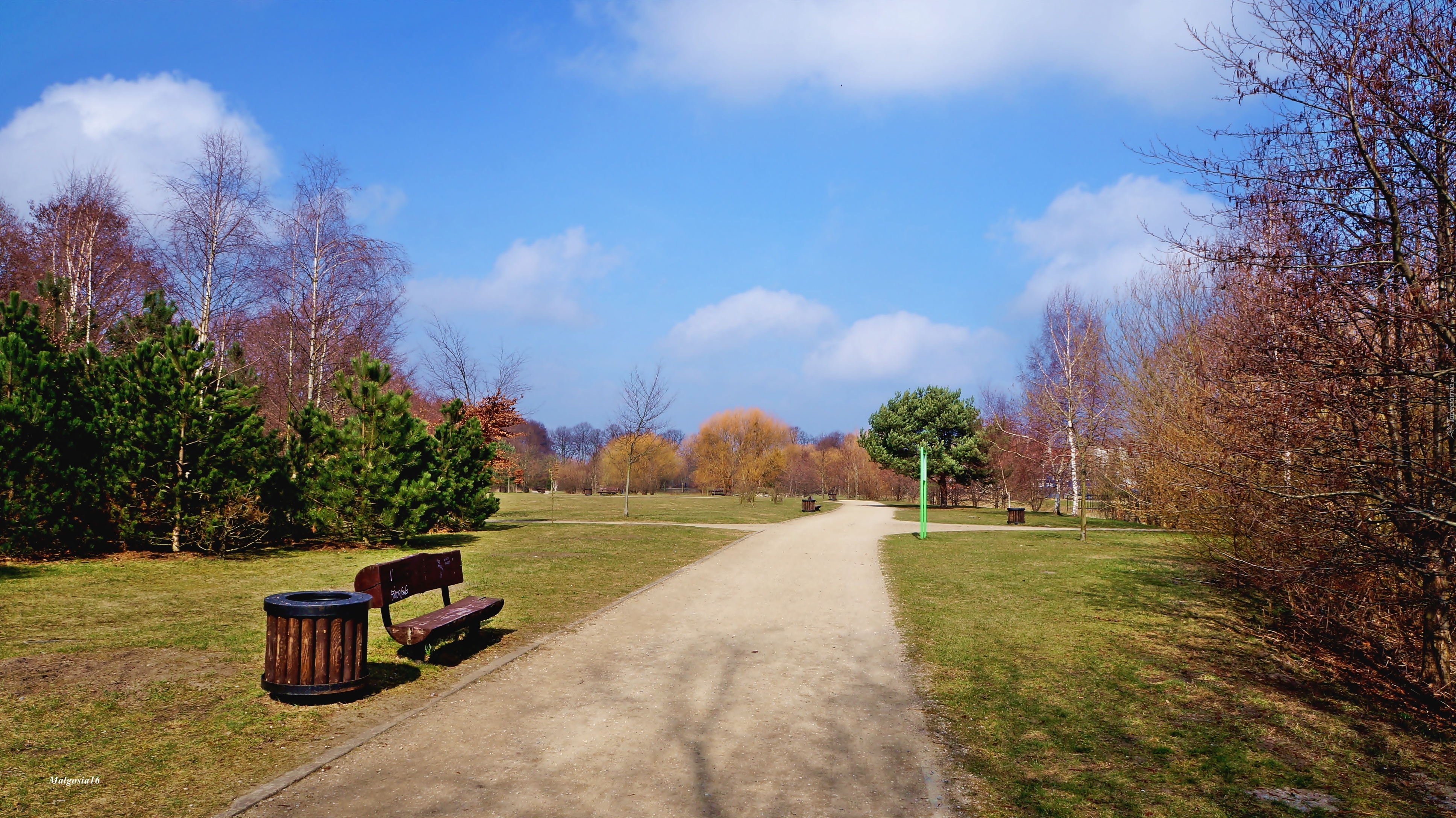 Park, Ścieżka, Ławka, Drzewa