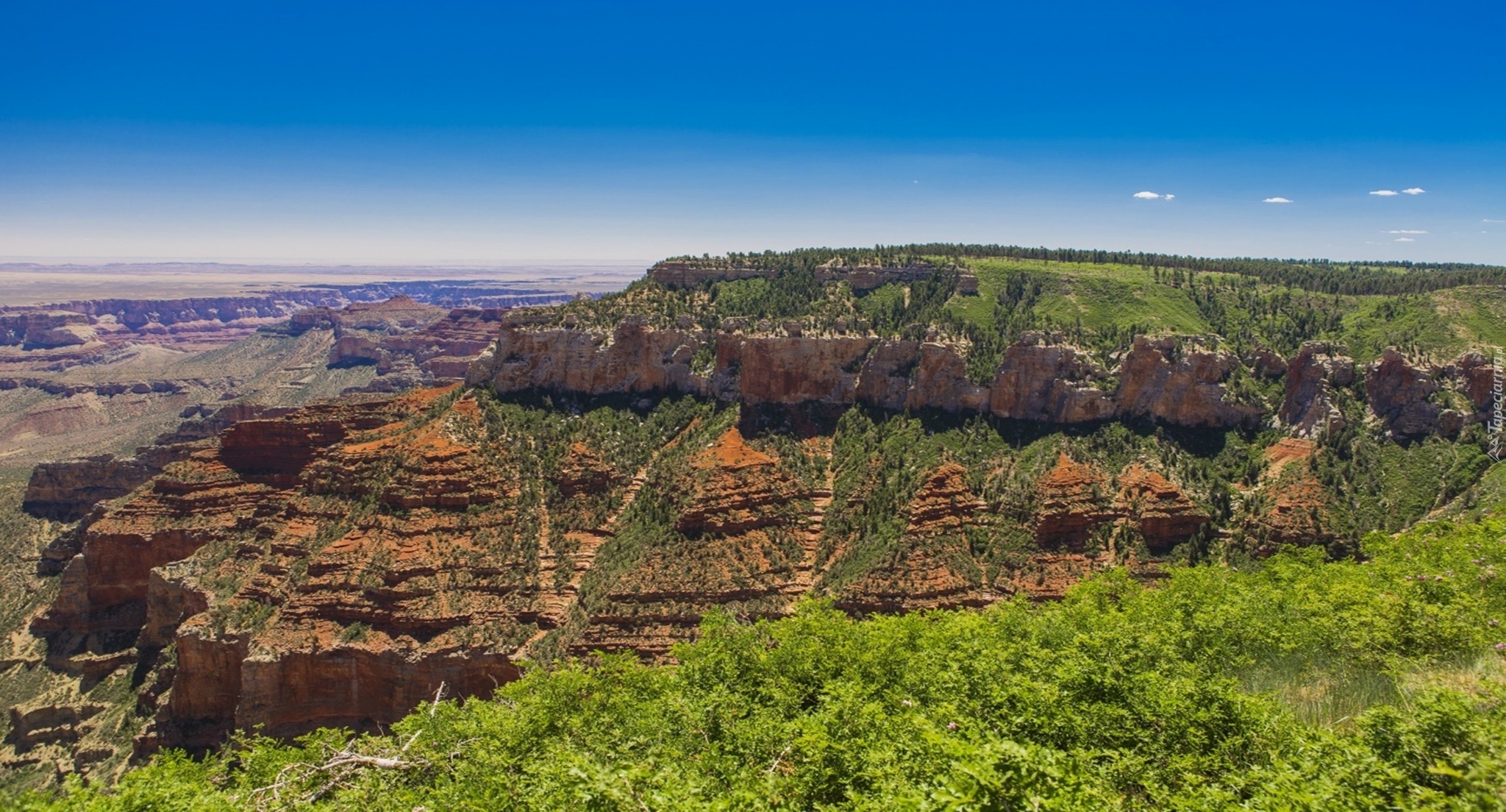 Park, Kanion, Arizona, USA