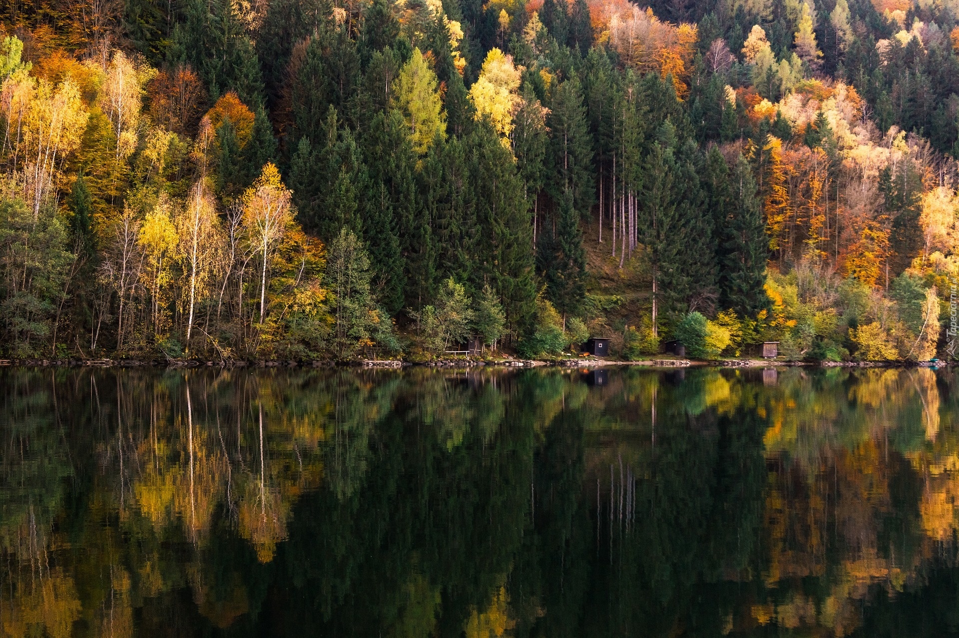 Las, Jezioro, Odbicie, Jesień