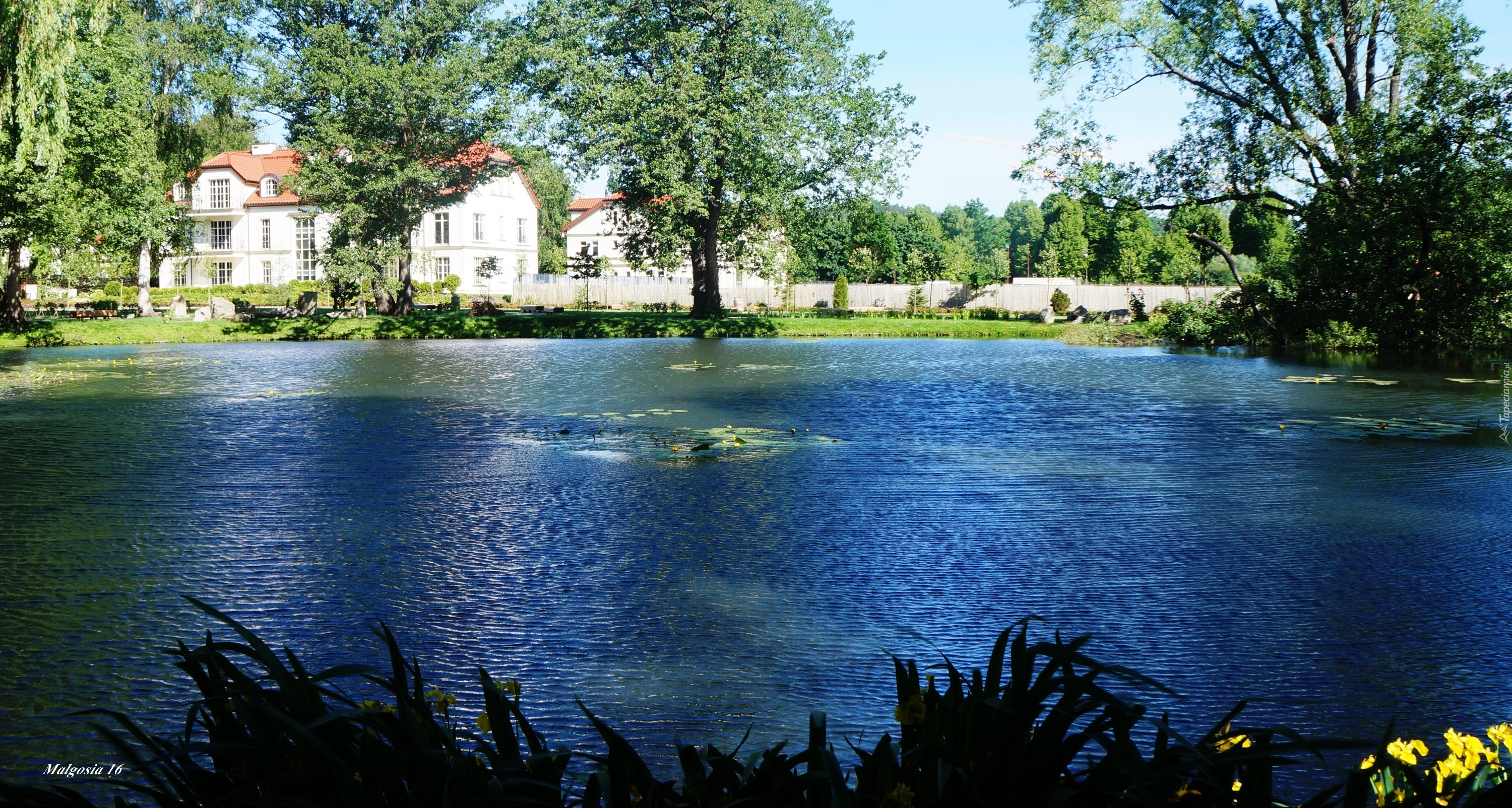 Staw, Woda, Budynki, Zieleń, Drzewa