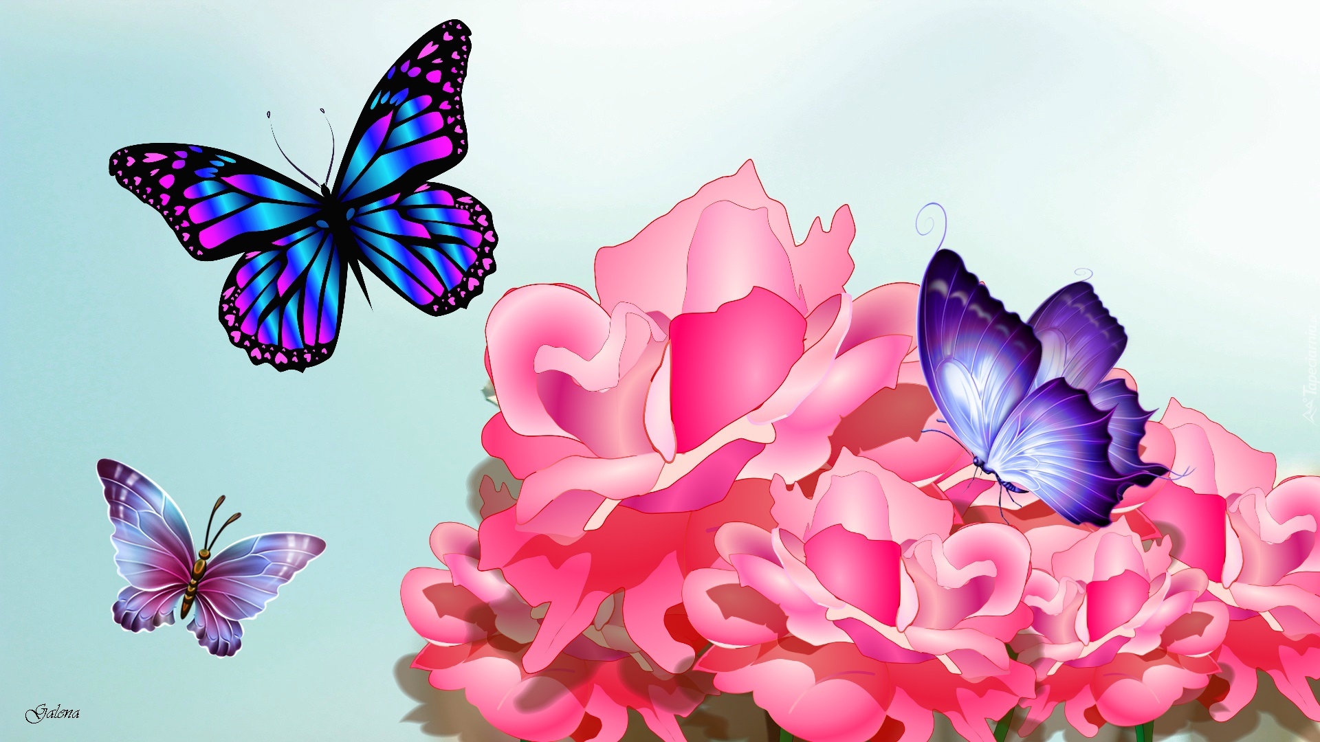 Różowe, Kwiaty, Motyle