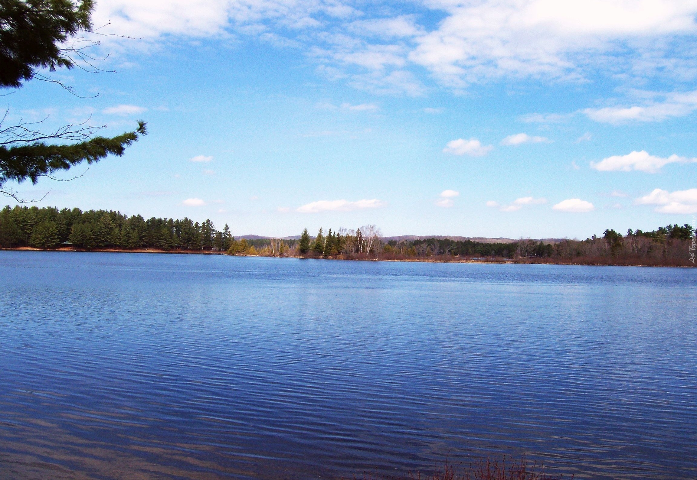 Jezioro, Simcoe, Ontario, Kanada, Drzewa, Niebo