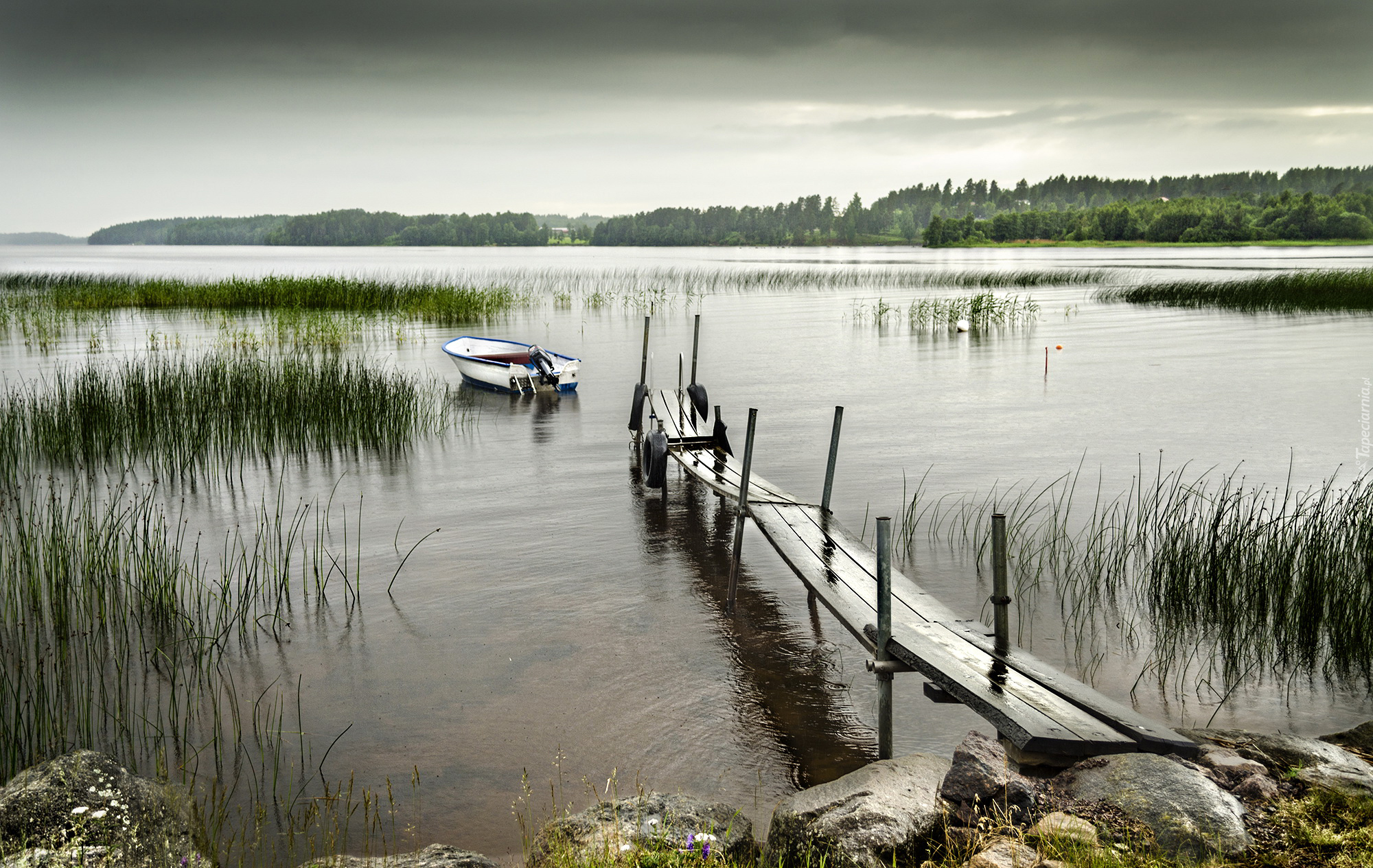 Jezioro, Pomost, Łódka, Trzciny